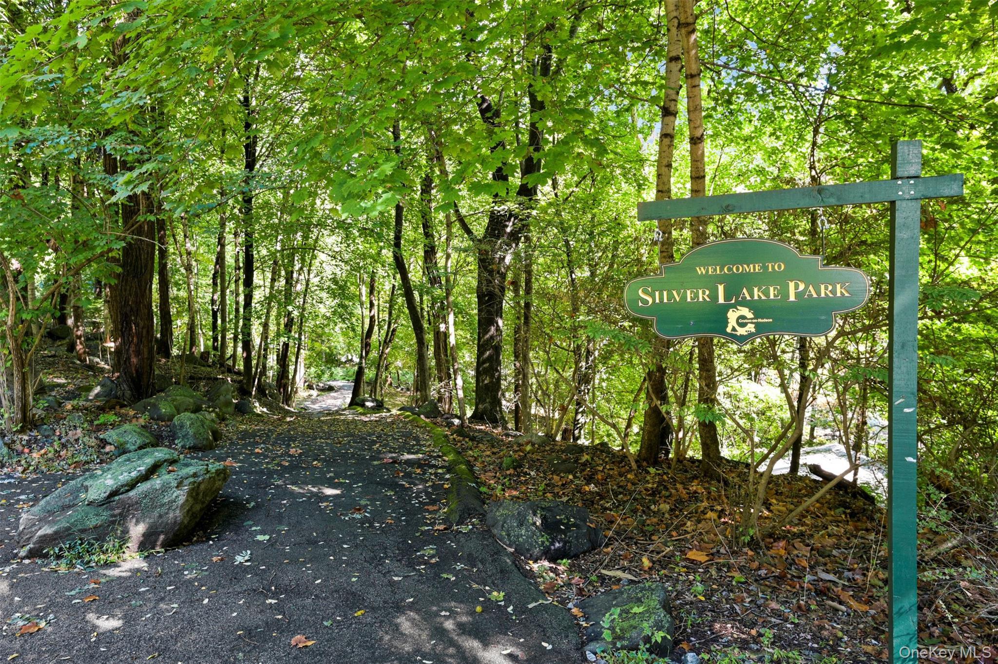 Single Family Thompson  Westchester County, NY 10520, MLS-967972-45
