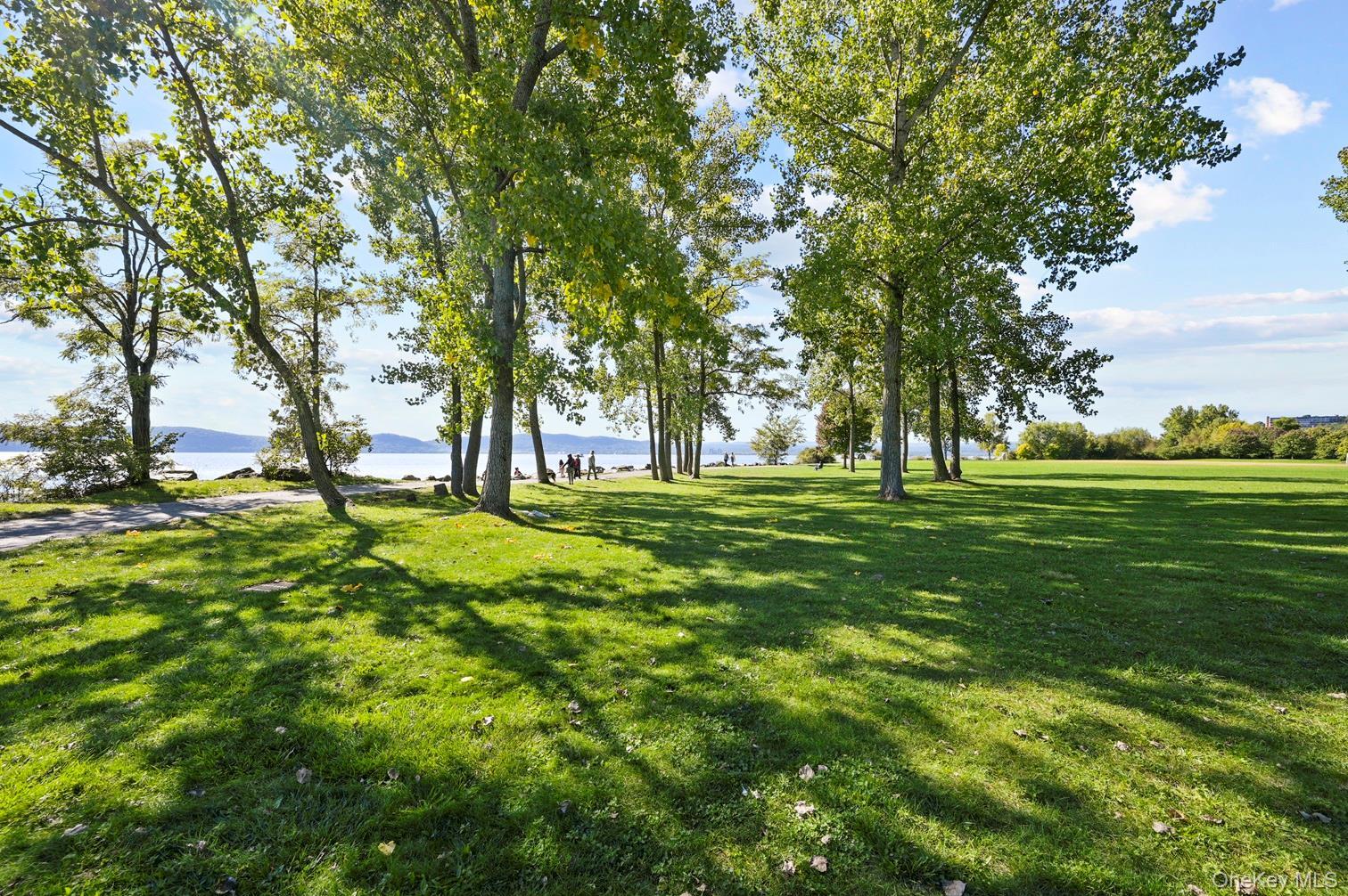 Single Family Thompson  Westchester County, NY 10520, MLS-967972-47