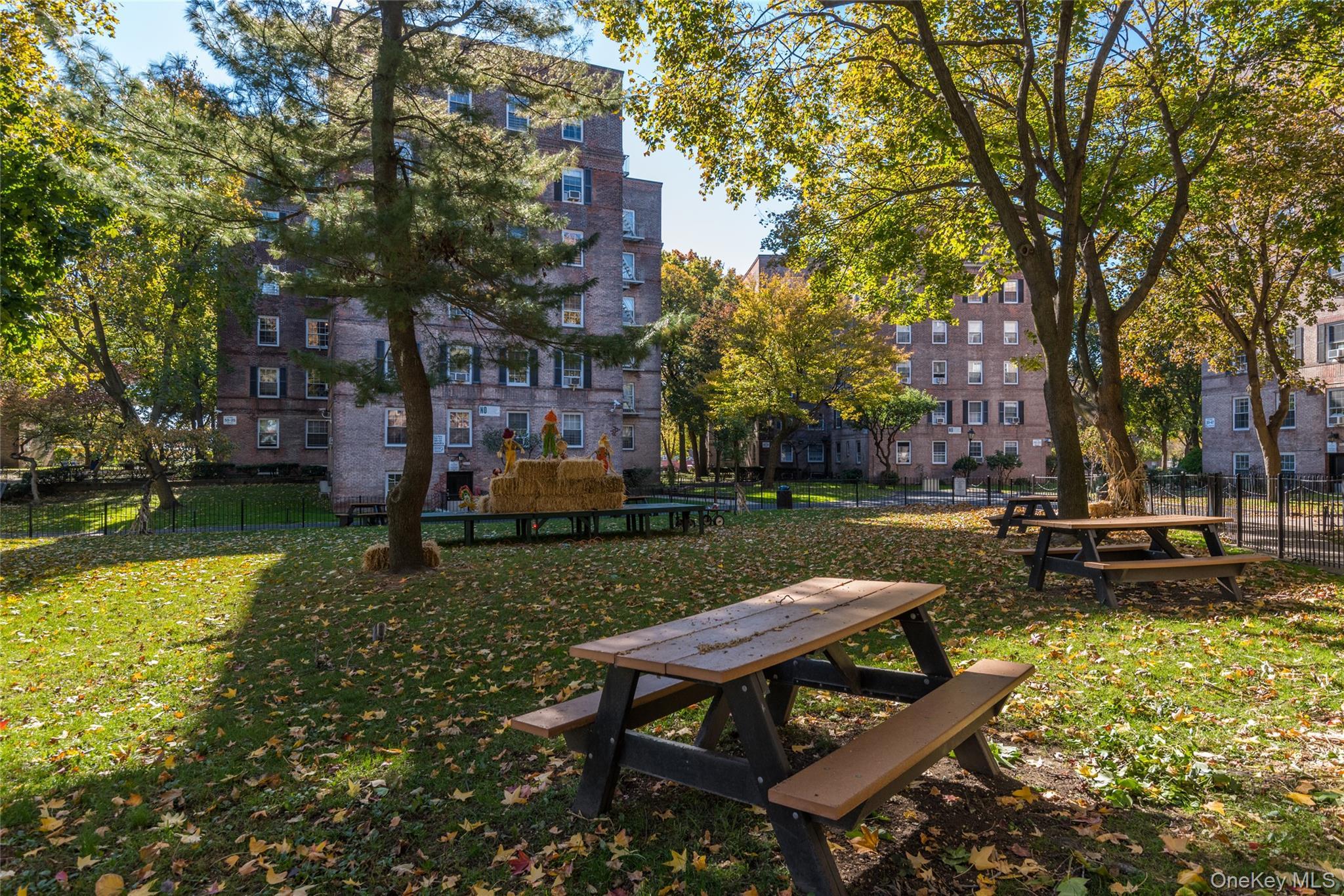 Coop 31st  Queens, NY 11377, MLS-968011-27