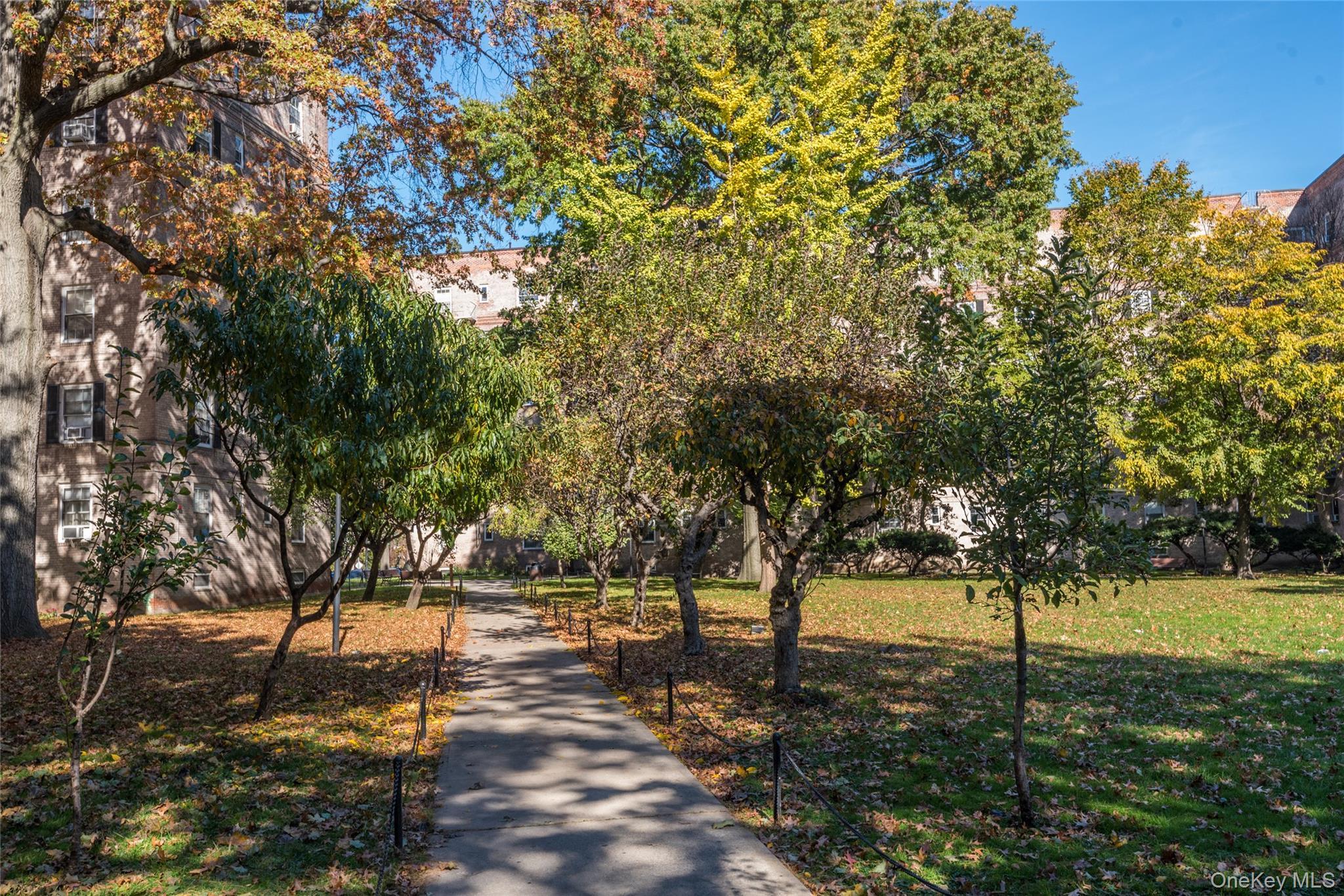 Coop 31st  Queens, NY 11377, MLS-968011-28