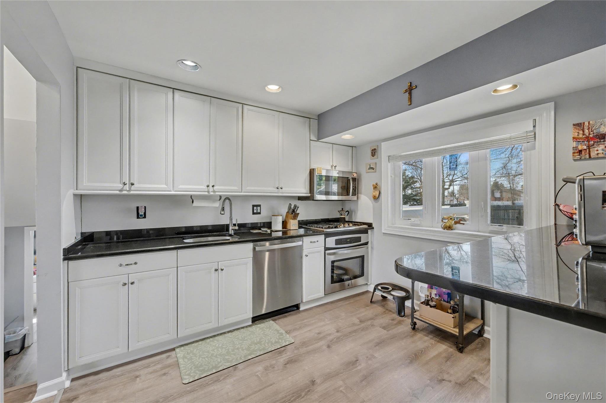 Single Family Richfield Street Nassau County, NY 11803, MLS-968012-15