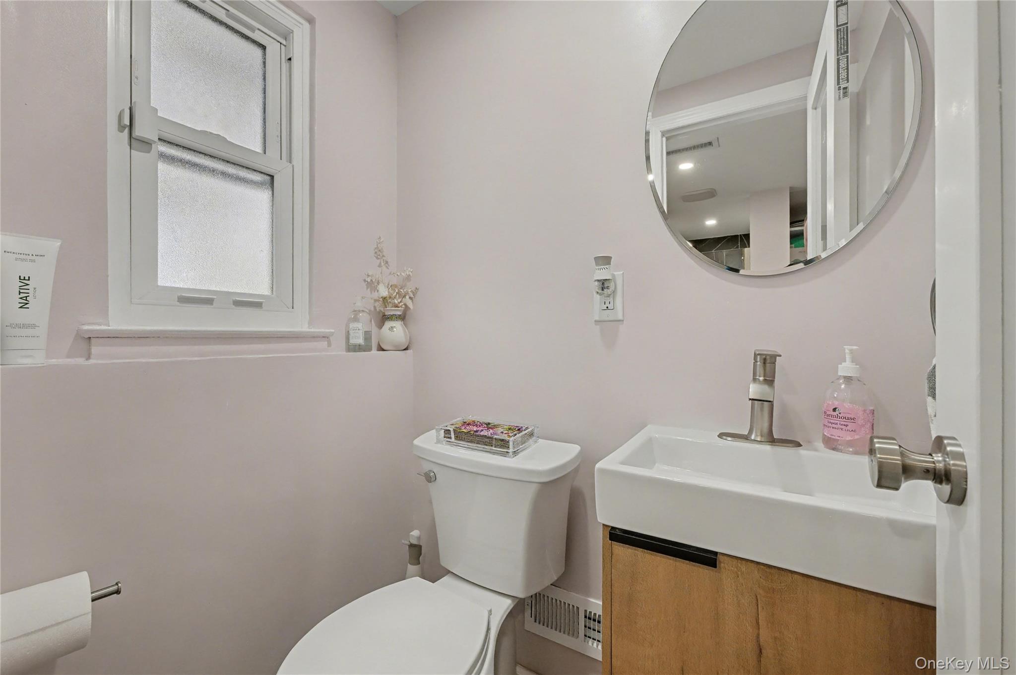 Single Family Richfield Street Nassau County, NY 11803, MLS-968012-21