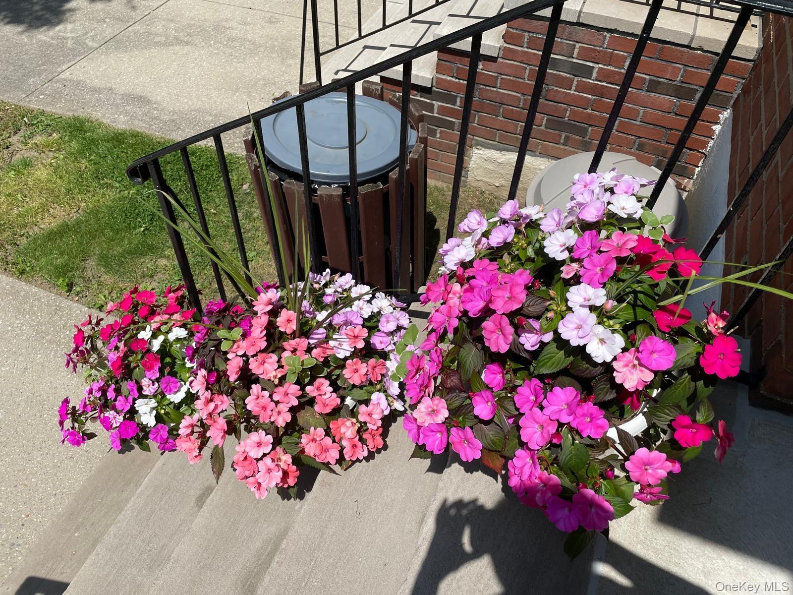 Coop 138th  Queens, NY 11367, MLS-968017-2