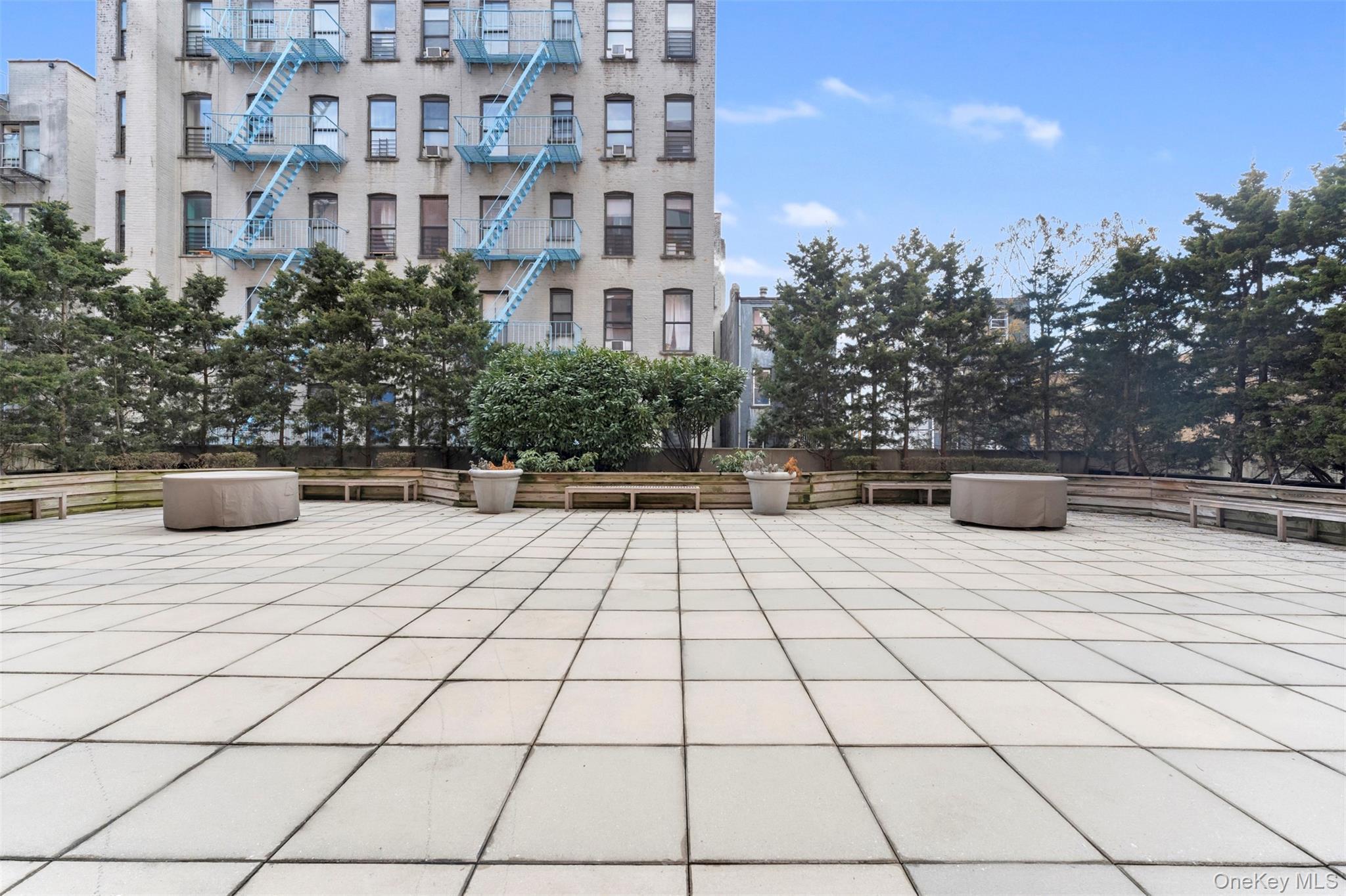 Coop 119th  Manhattan, NY 10035, MLS-968018-9