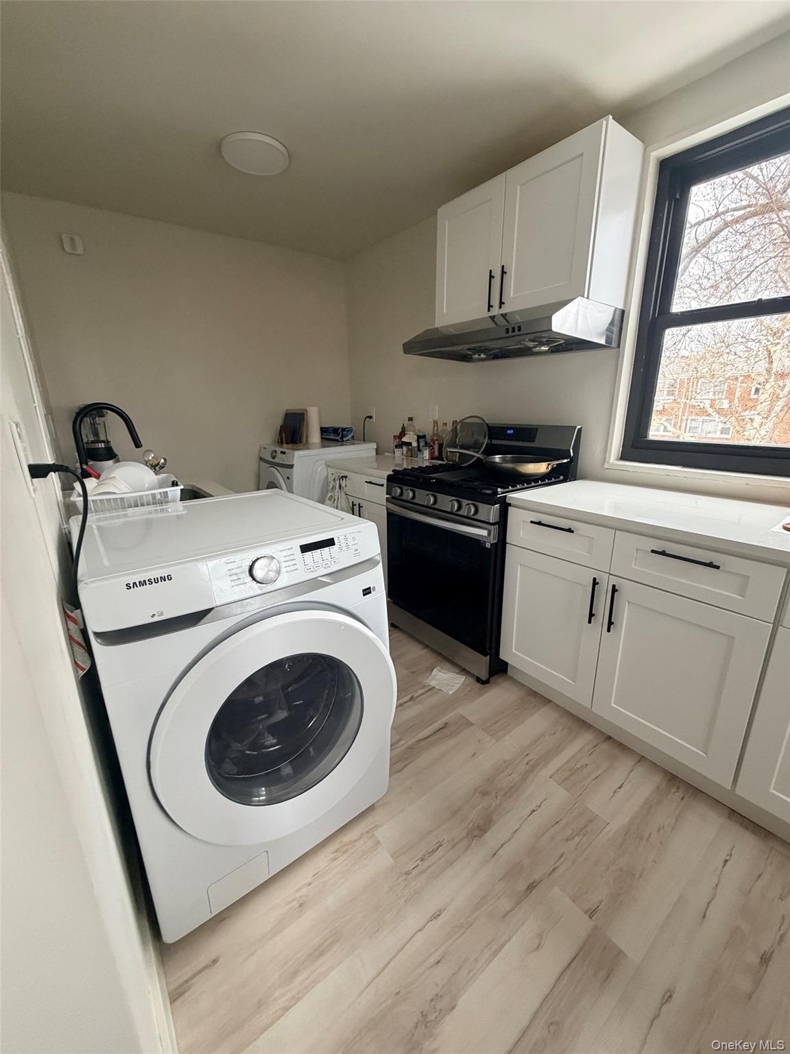 Coop 169  Queens, NY 11357, MLS-968030-5