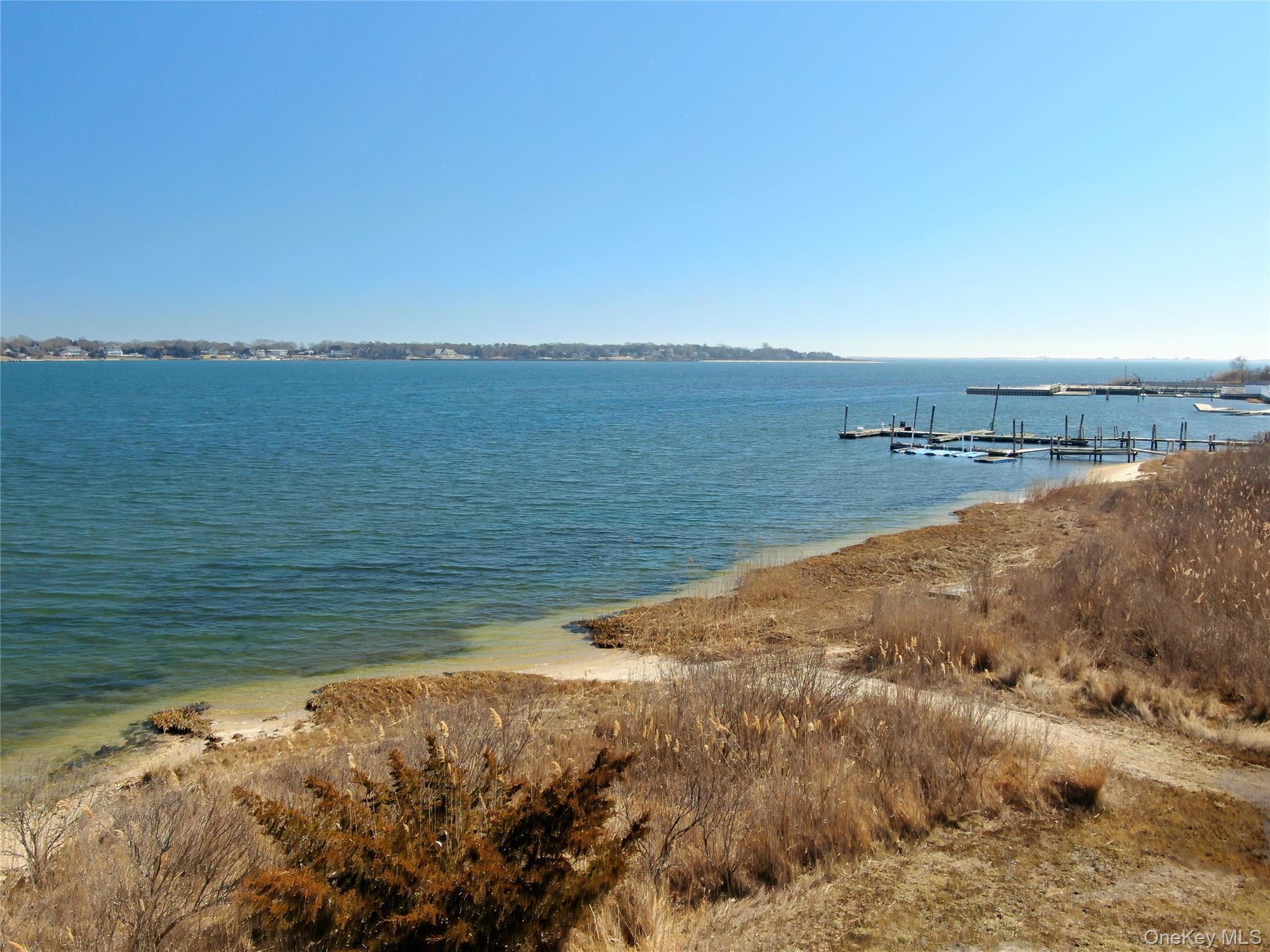 Coop Tiana  Suffolk County, NY 11946, MLS-968092-24