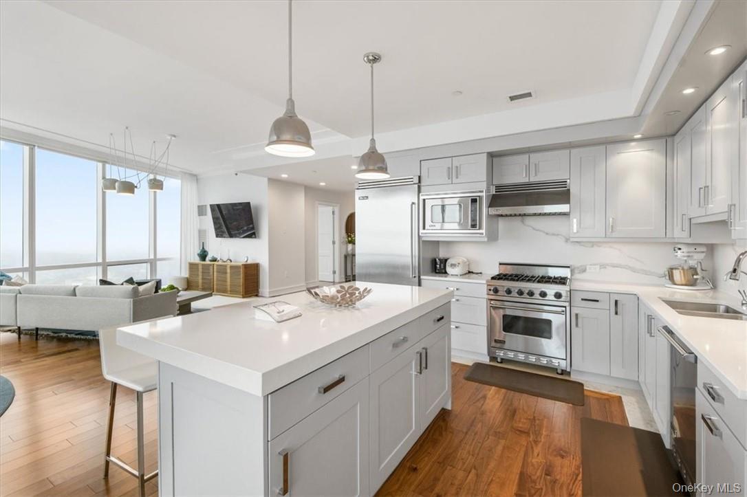 Condo Renaissance  Westchester County, NY 10601, MLS-968153-11