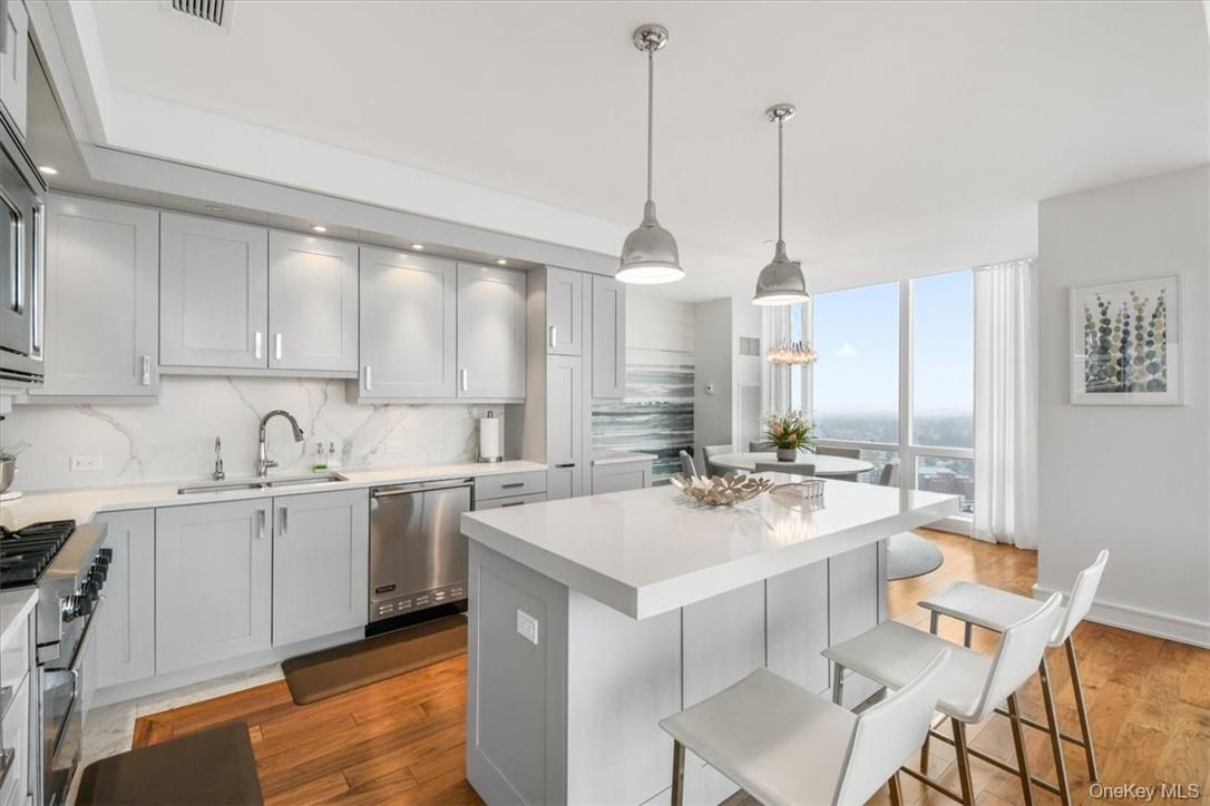 Condo Renaissance  Westchester County, NY 10601, MLS-968153-13