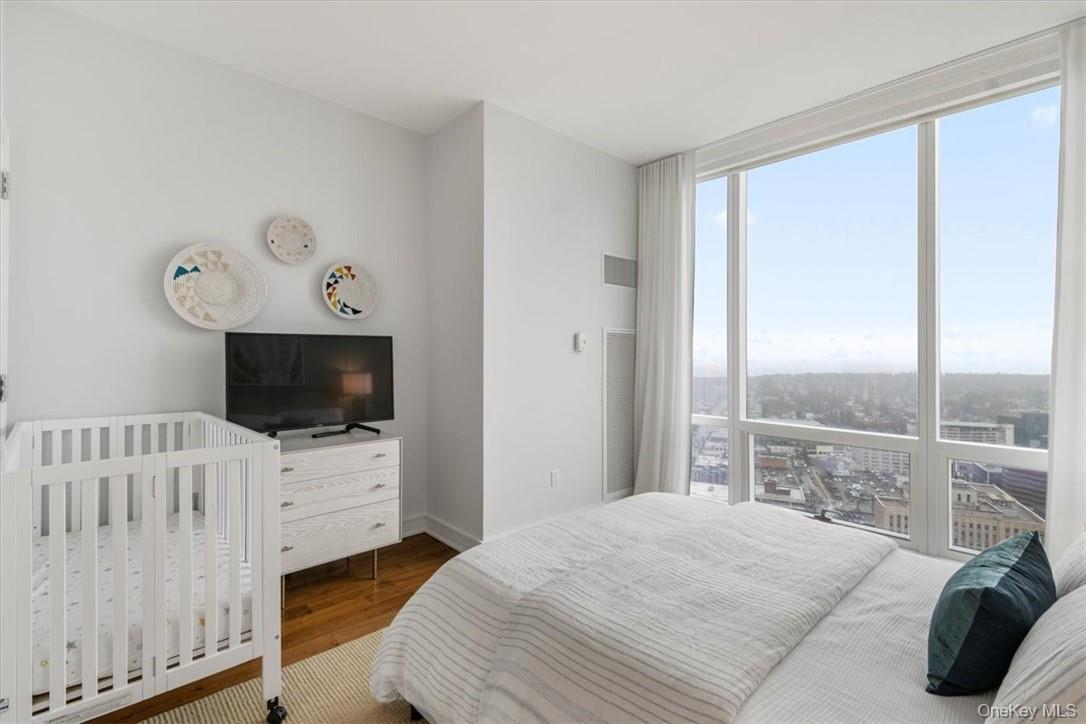 Condo Renaissance  Westchester County, NY 10601, MLS-968153-19