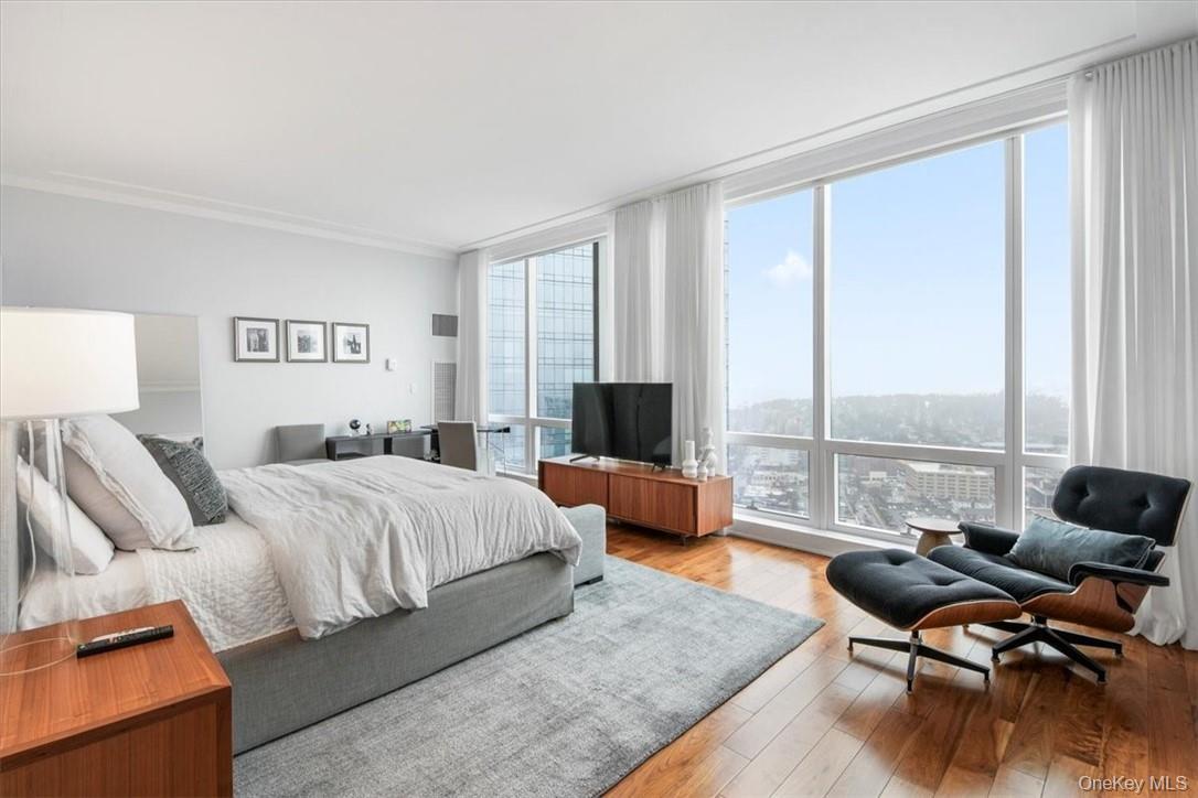 Condo Renaissance  Westchester County, NY 10601, MLS-968153-23