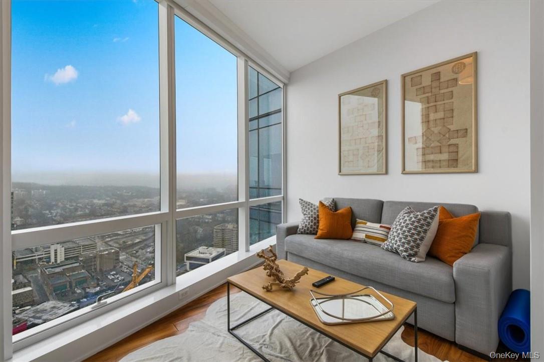 Condo Renaissance  Westchester County, NY 10601, MLS-968153-3