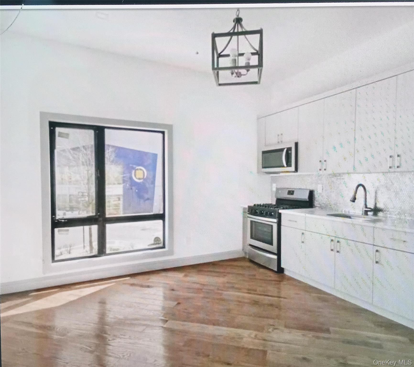 Single Family Dean Street Brooklyn, NY 11233, MLS-968159-2