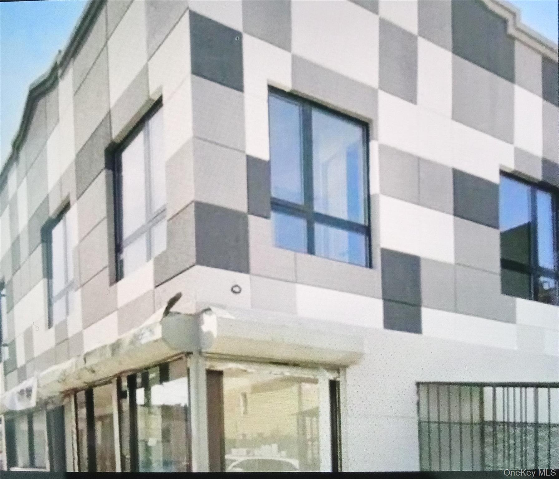 Single Family Dean Street Brooklyn, NY 11233, MLS-968159-3