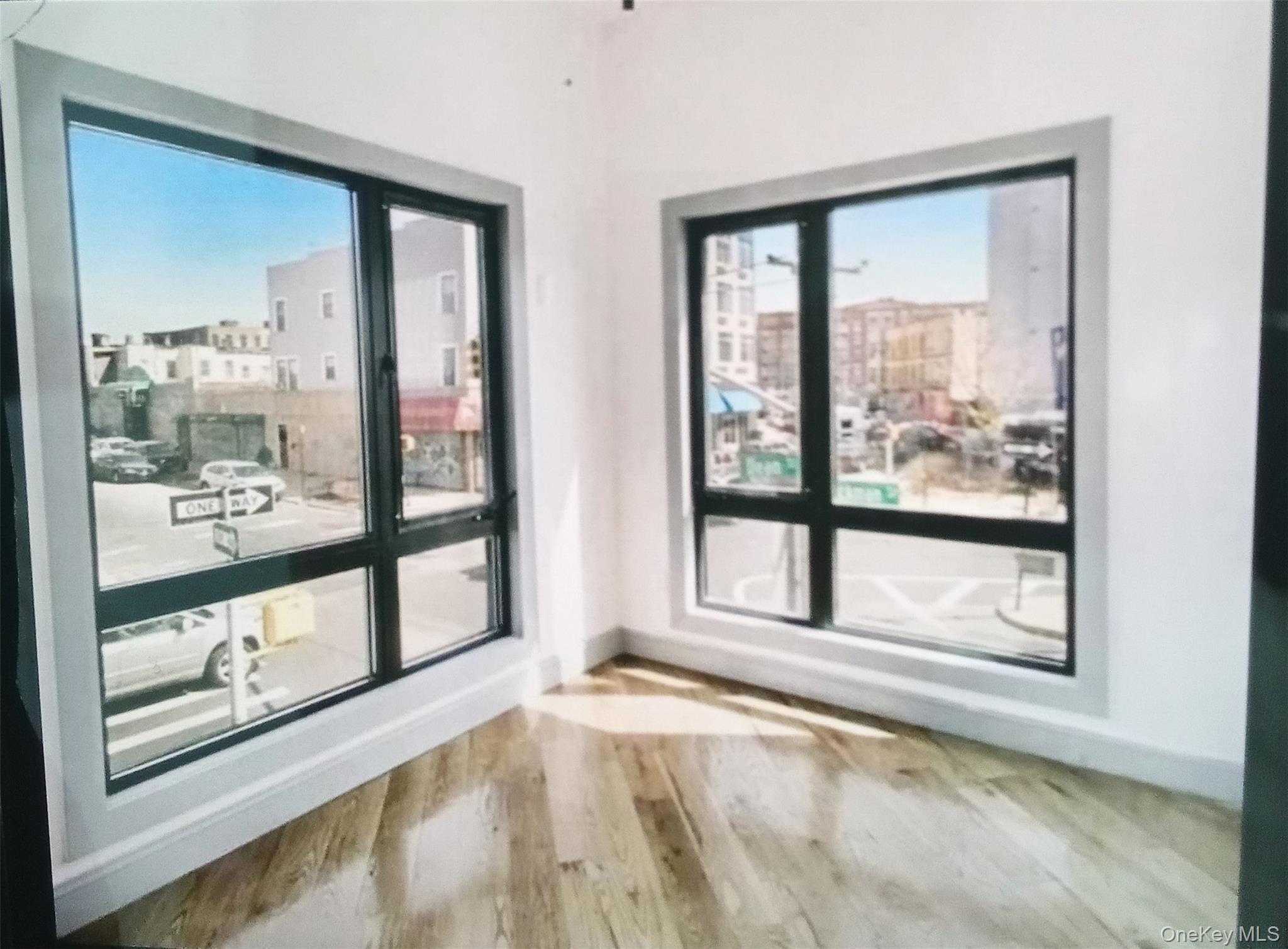 Single Family Dean Street Brooklyn, NY 11233, MLS-968159-9