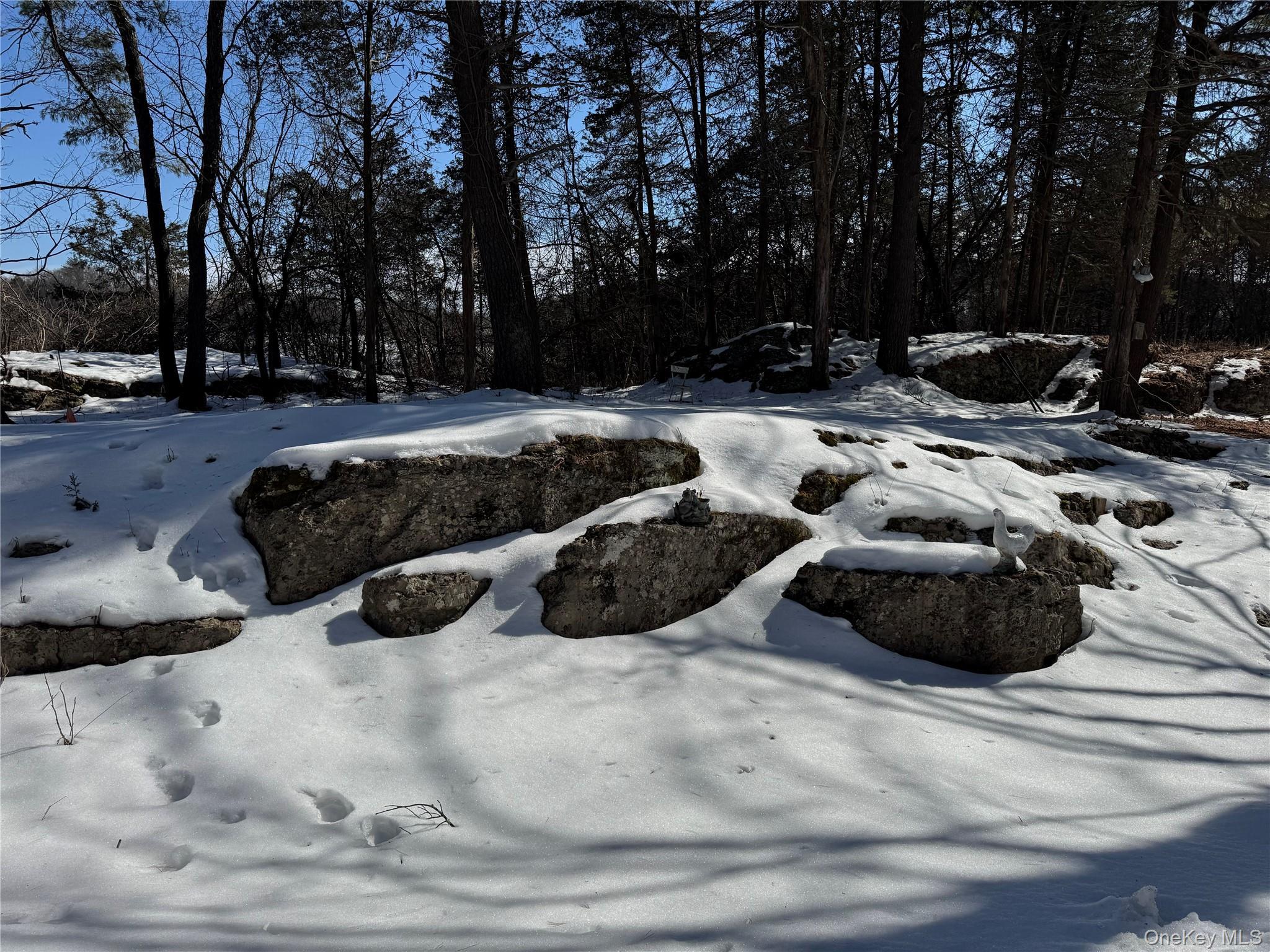 Single Family Palmer  Greene County, NY 12414, MLS-968168-23