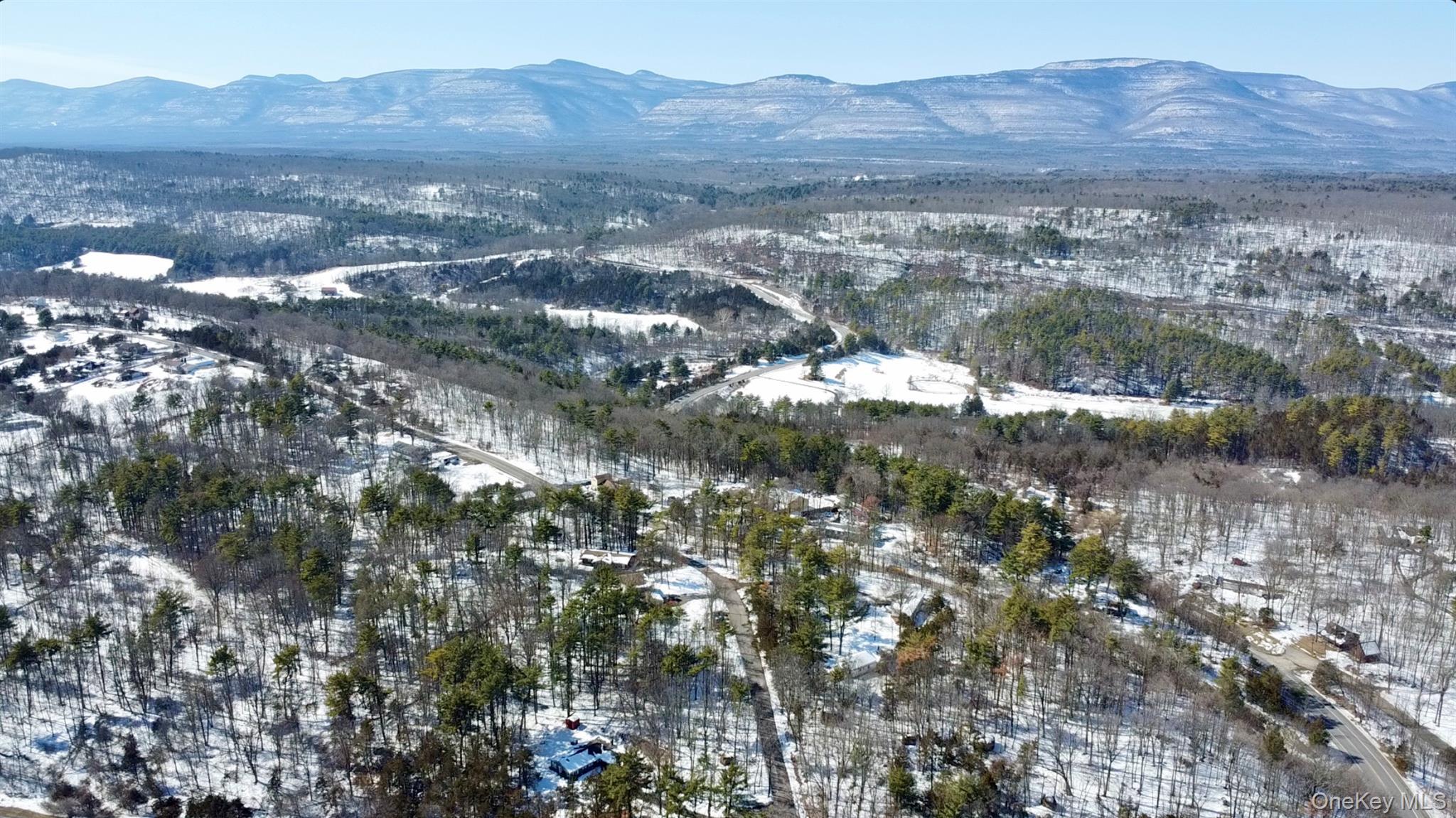 Single Family Palmer  Greene County, NY 12414, MLS-968168-24