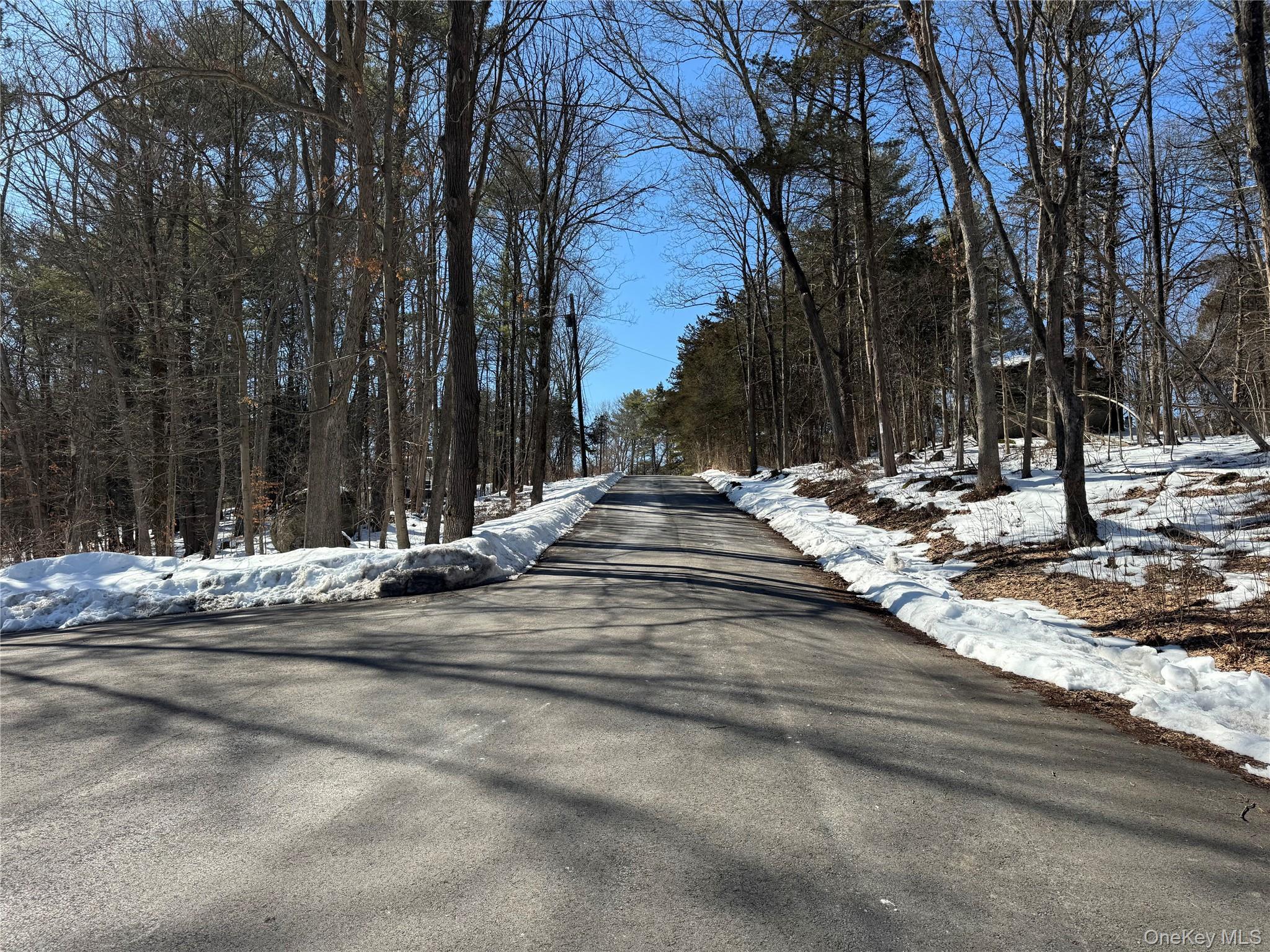 Single Family Palmer  Greene County, NY 12414, MLS-968168-26