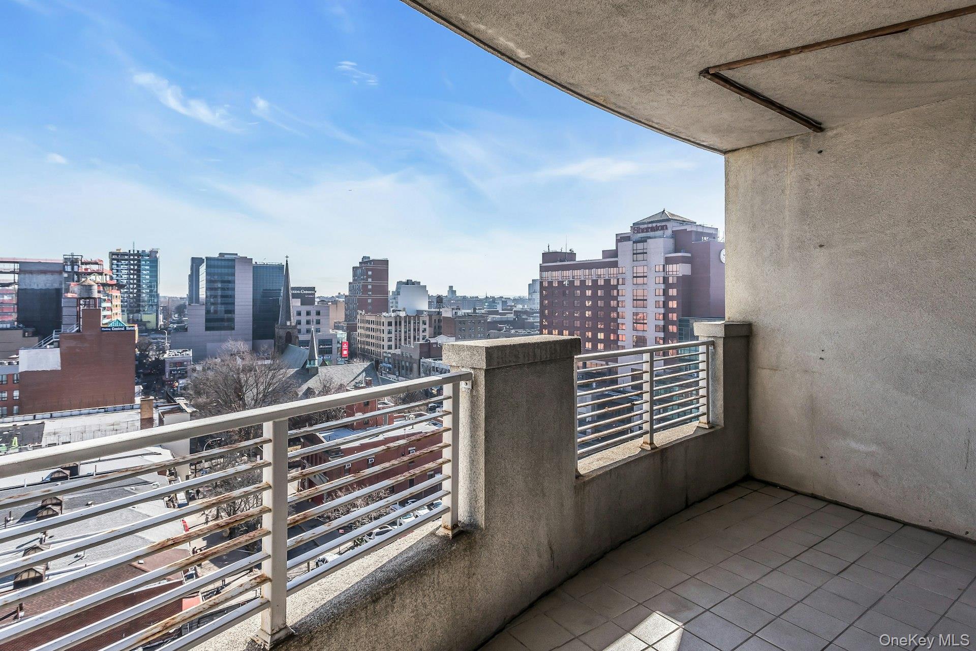 Condo Prince  Queens, NY 11354, MLS-968193-16