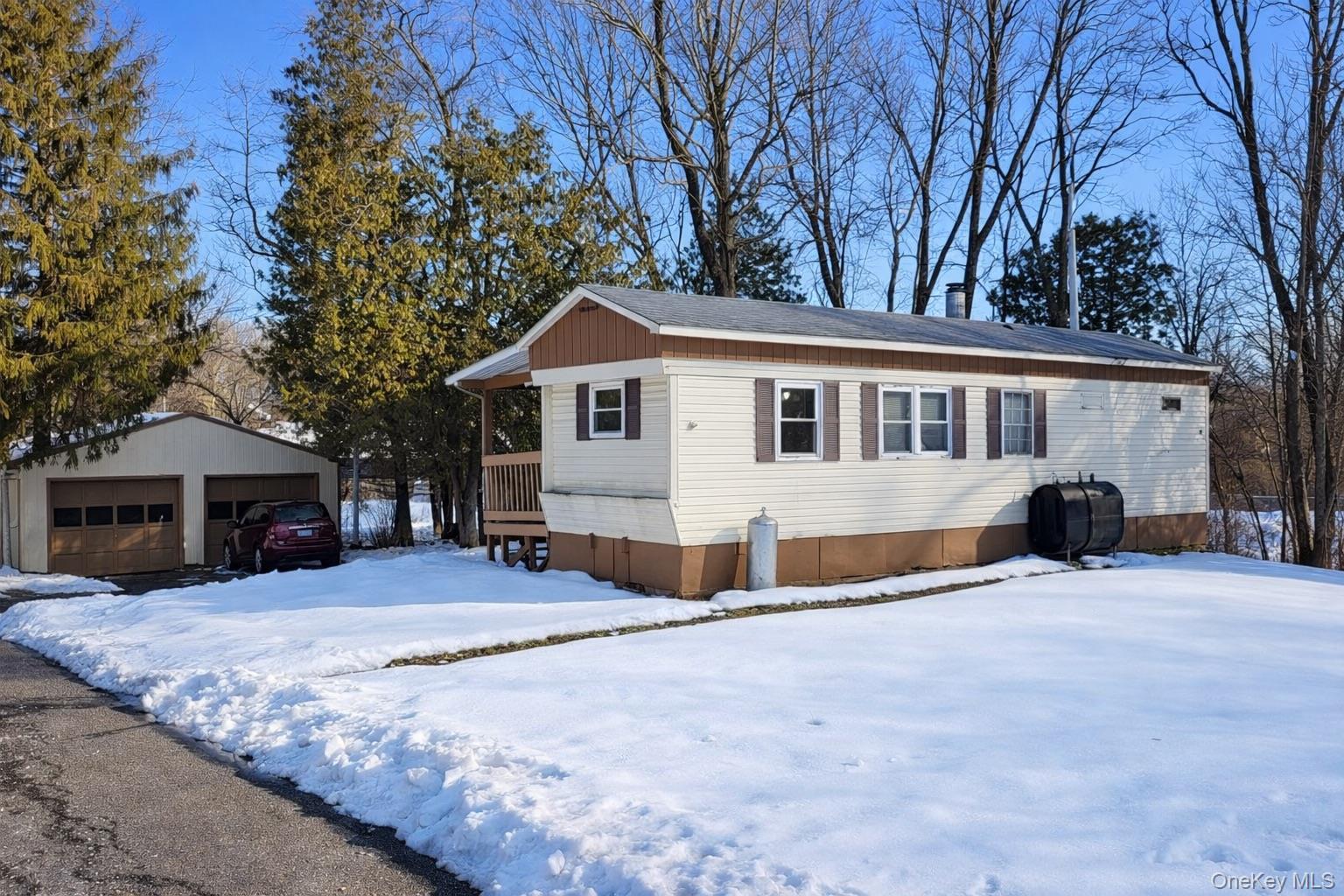 Single Family Tenth  Greene County, NY 12414, MLS-968201-3