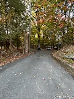 Single Family Cardiff  Sullivan County, NY 12775, MLS-968272-12