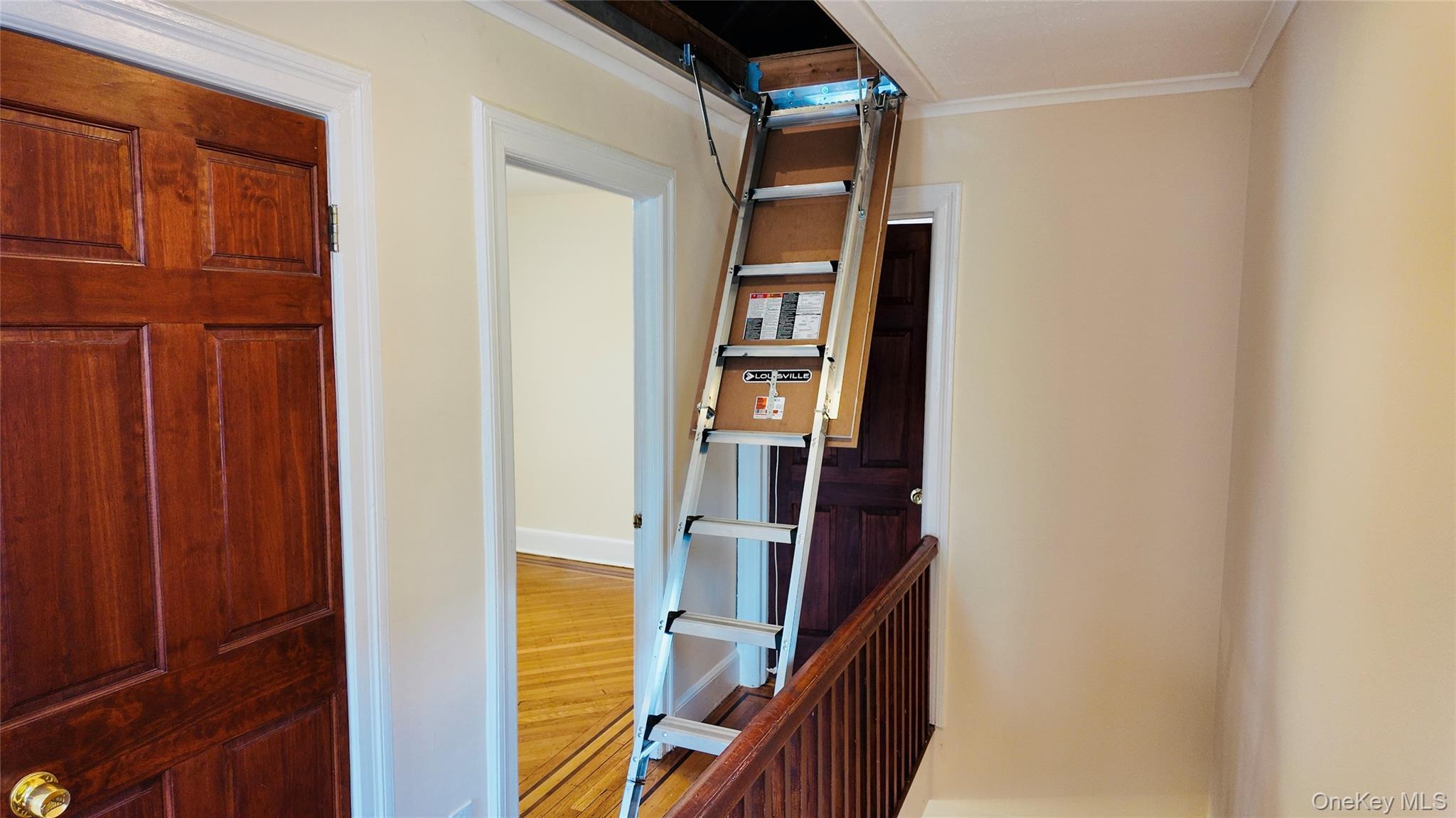 Single Family Willow  Bronx, NY 10461, MLS-968347-13