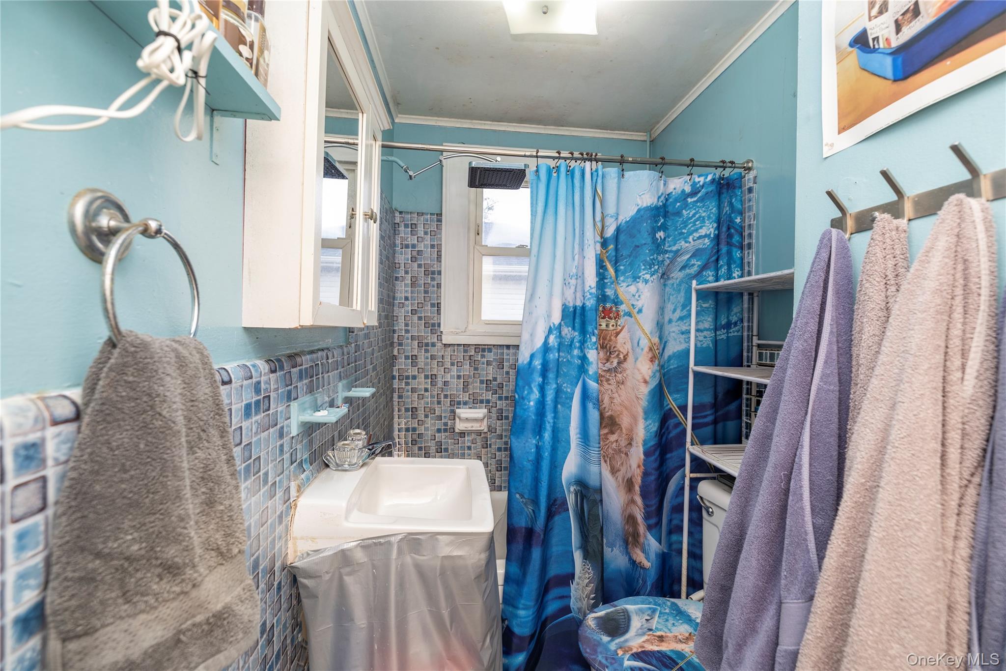 Single Family Ocean  Nassau County, NY 11510, MLS-968362-10