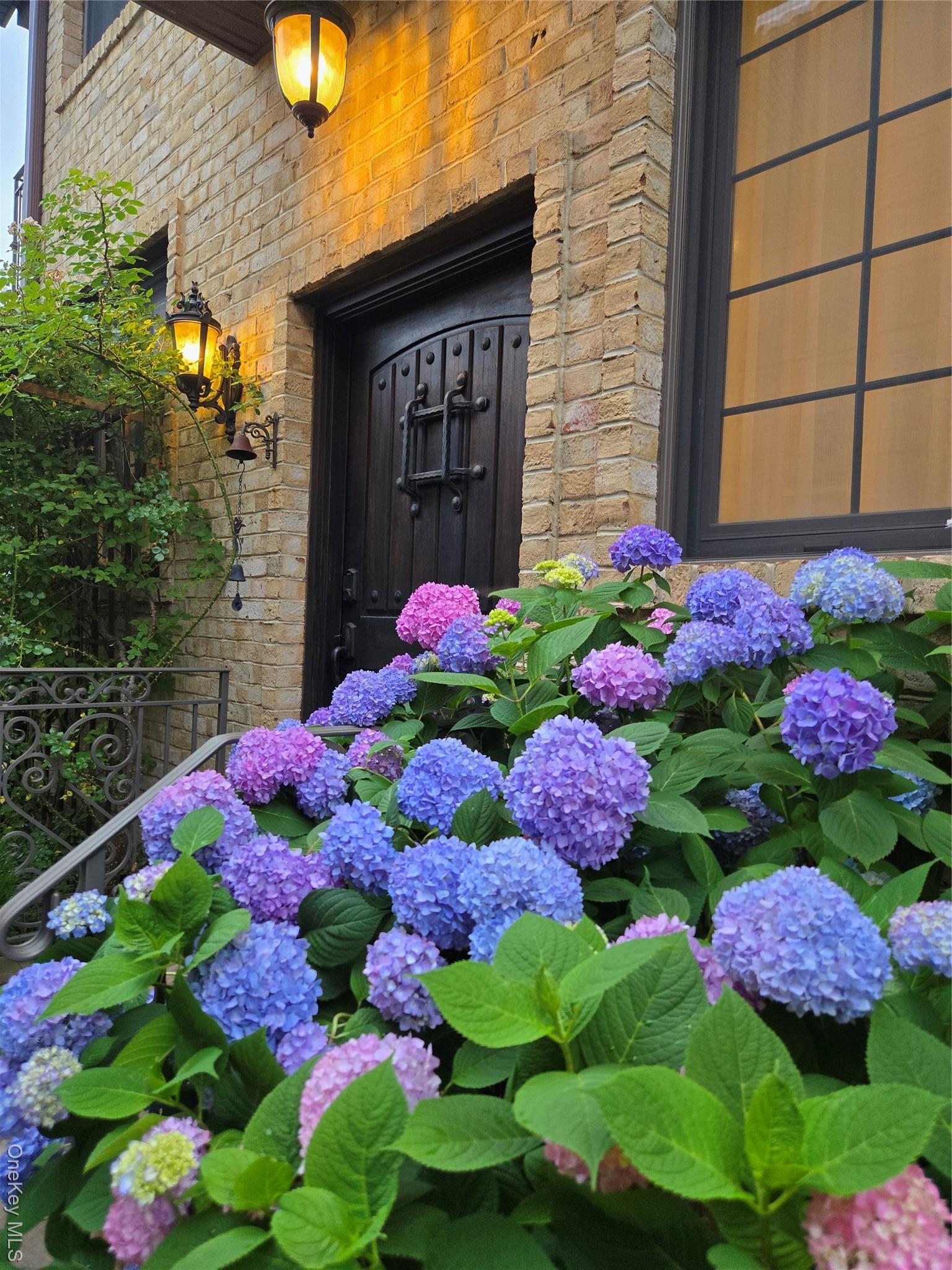 Single Family 215th  Queens, NY 11361, MLS-968431-25