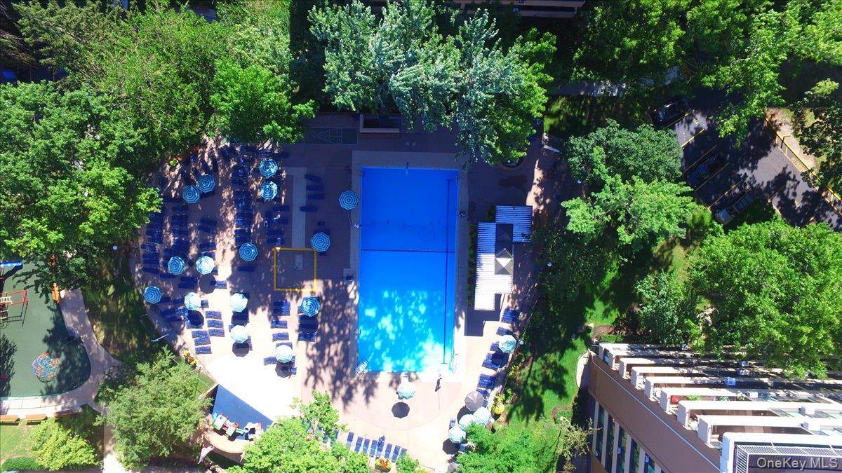 Coop 166th  Queens, NY 11357, MLS-968491-22