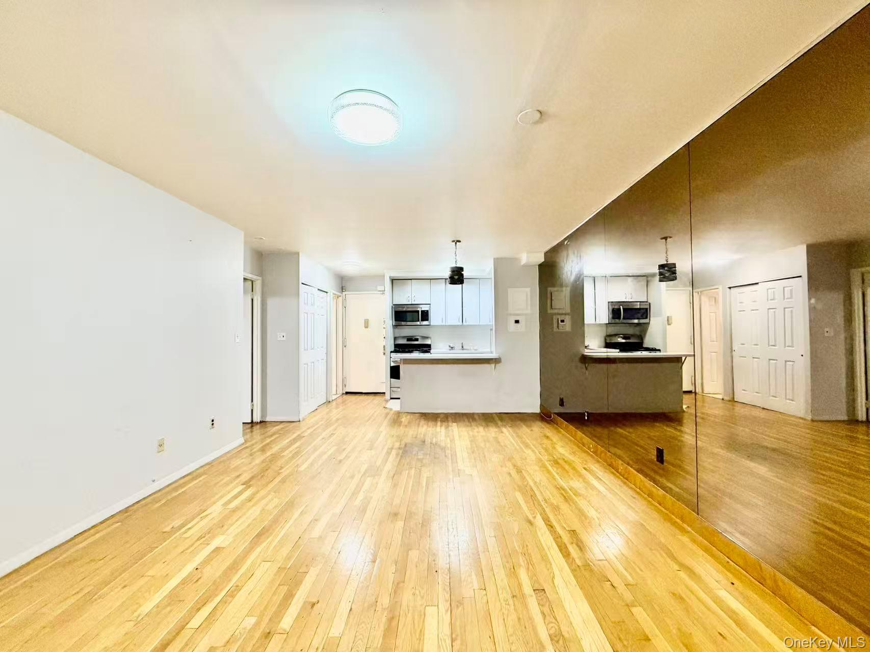 Condo 57th  Queens, NY 11373, MLS-968503-8