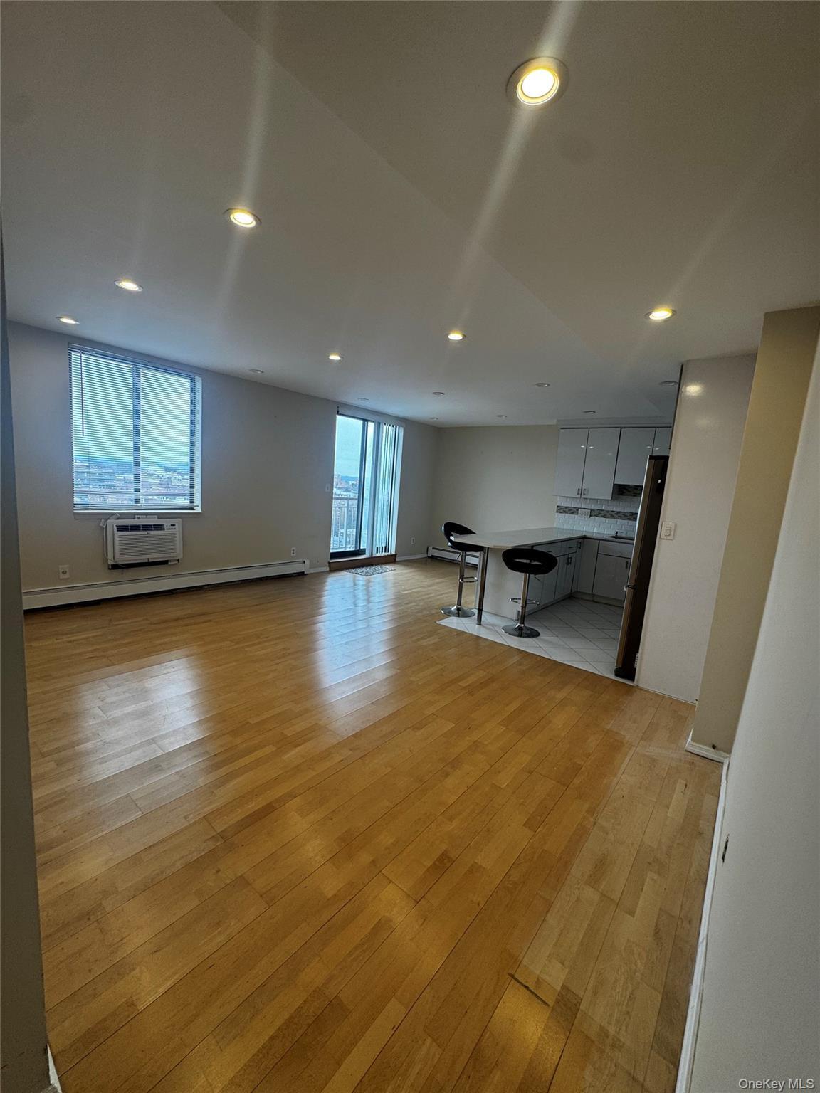 Condo Maple Ave  Queens, NY 11355, MLS-968514-13