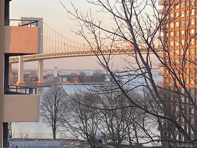 Coop 166th  Queens, NY 11357, MLS-968532-17