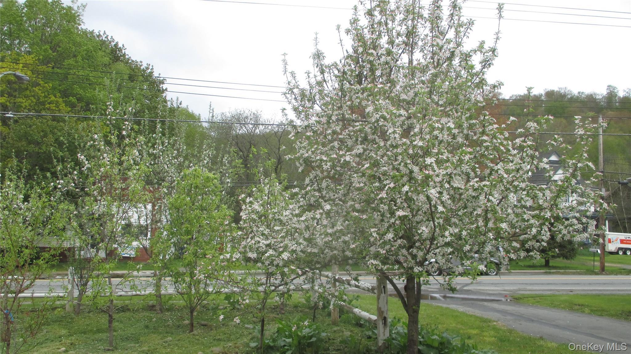 Single Family N Branch Hortonville Road  Sullivan County, NY 12745, MLS-968567-22