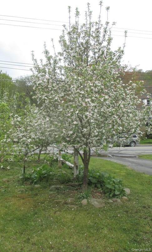 Single Family N Branch Hortonville Road  Sullivan County, NY 12745, MLS-968567-23