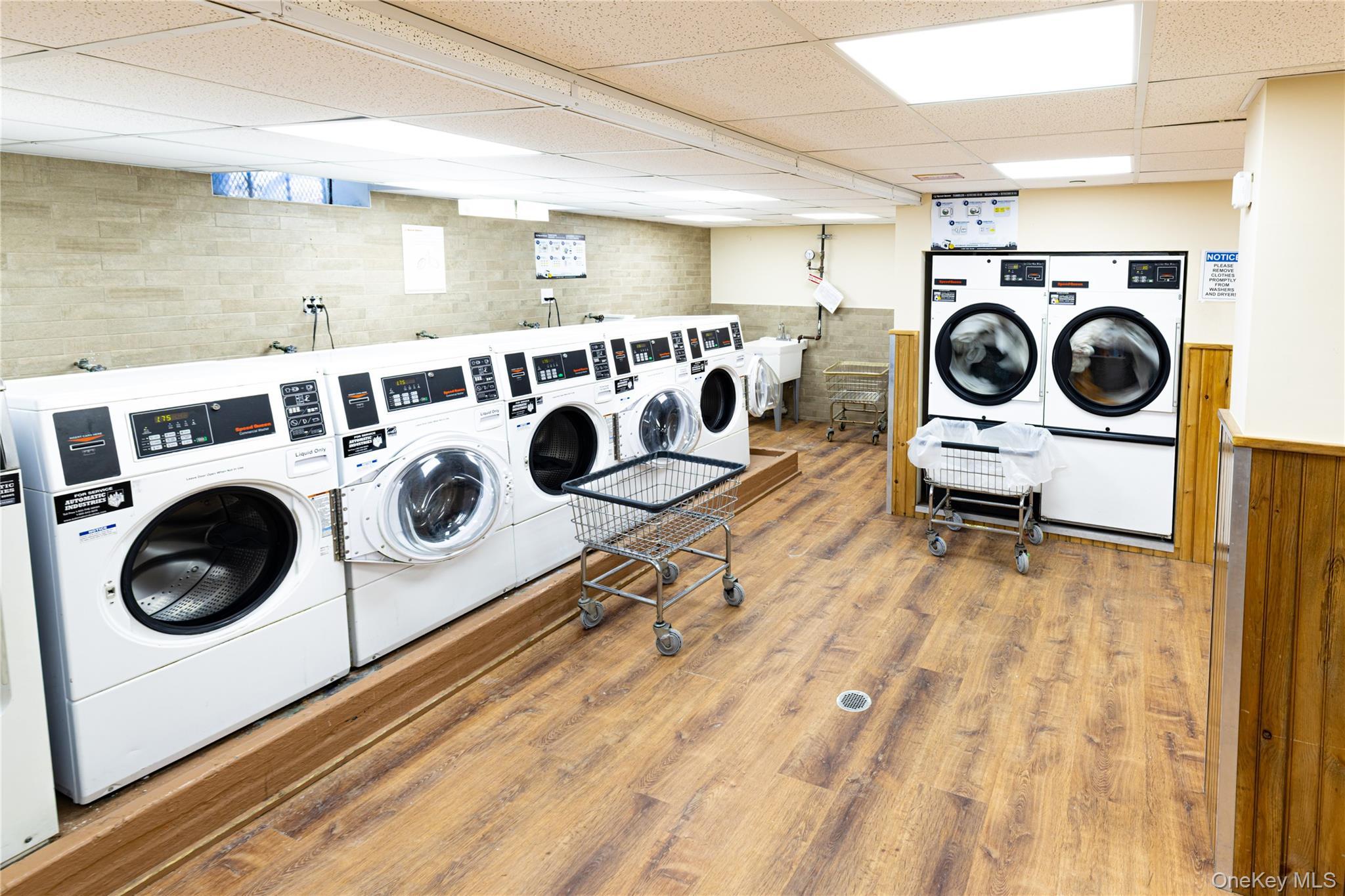 Coop Jewel  Queens, NY 11367, MLS-968570-10