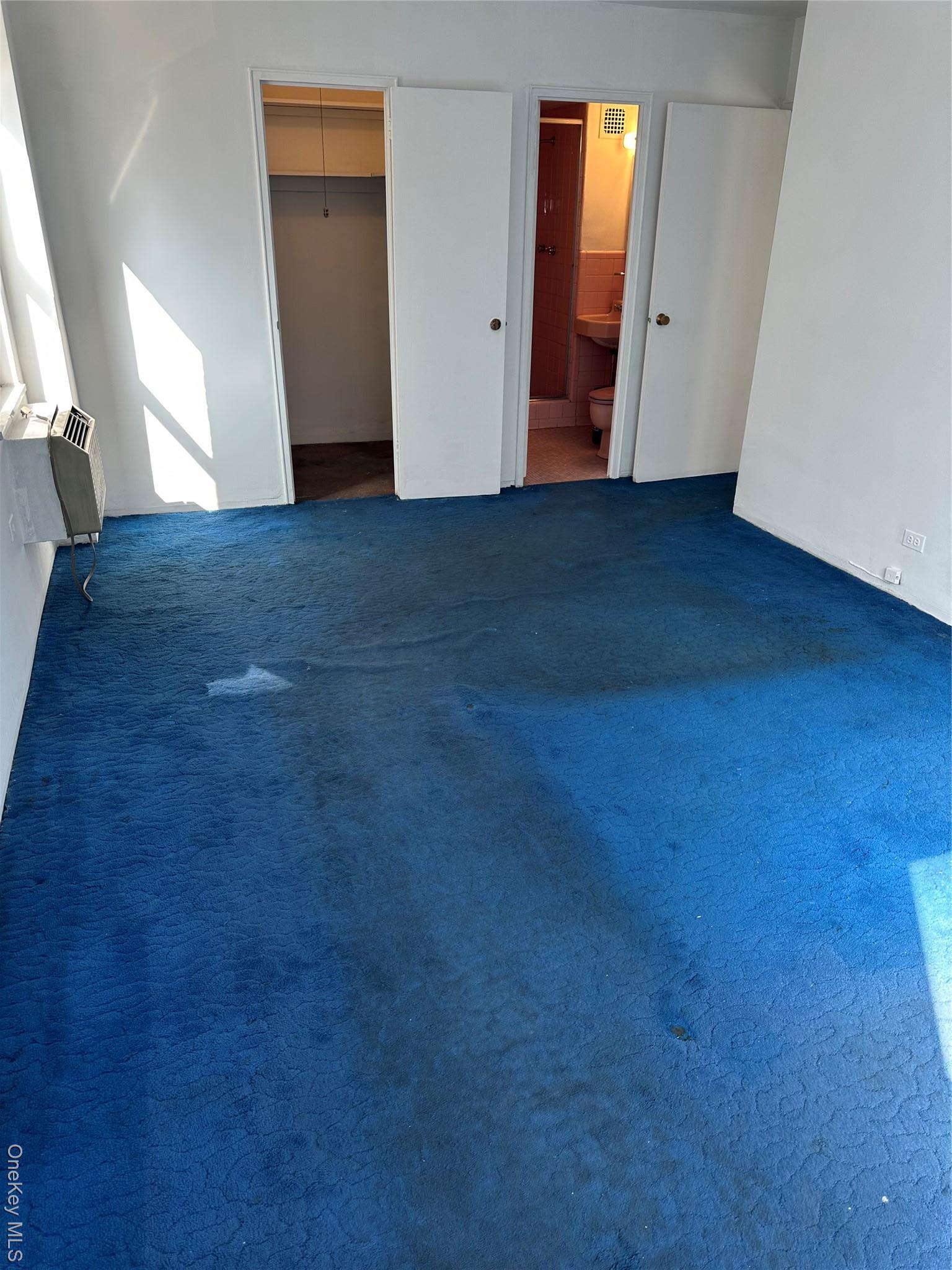 Coop H Brooklyn, NY 11210, MLS-968593-27