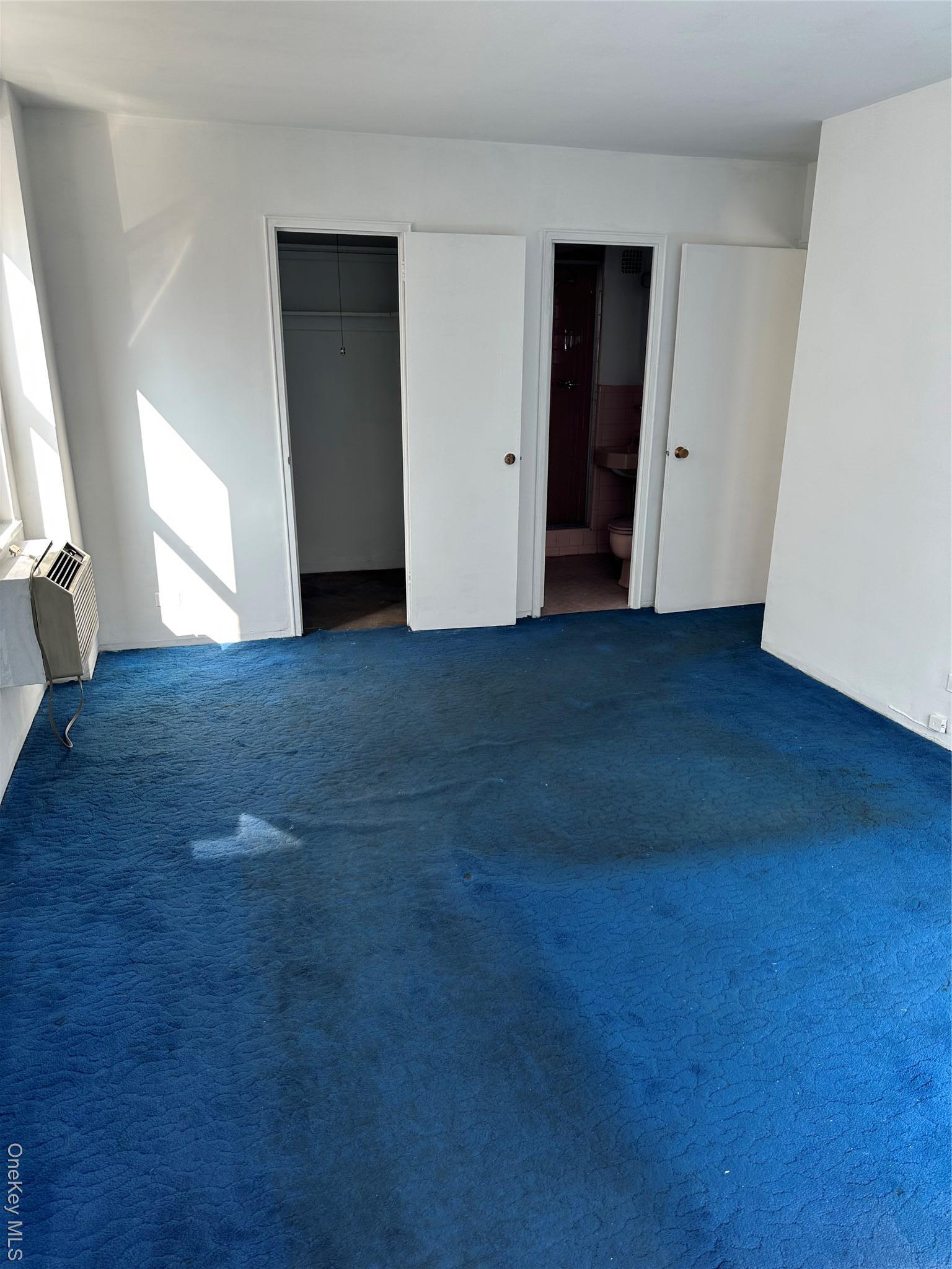 Coop H Brooklyn, NY 11210, MLS-968593-28