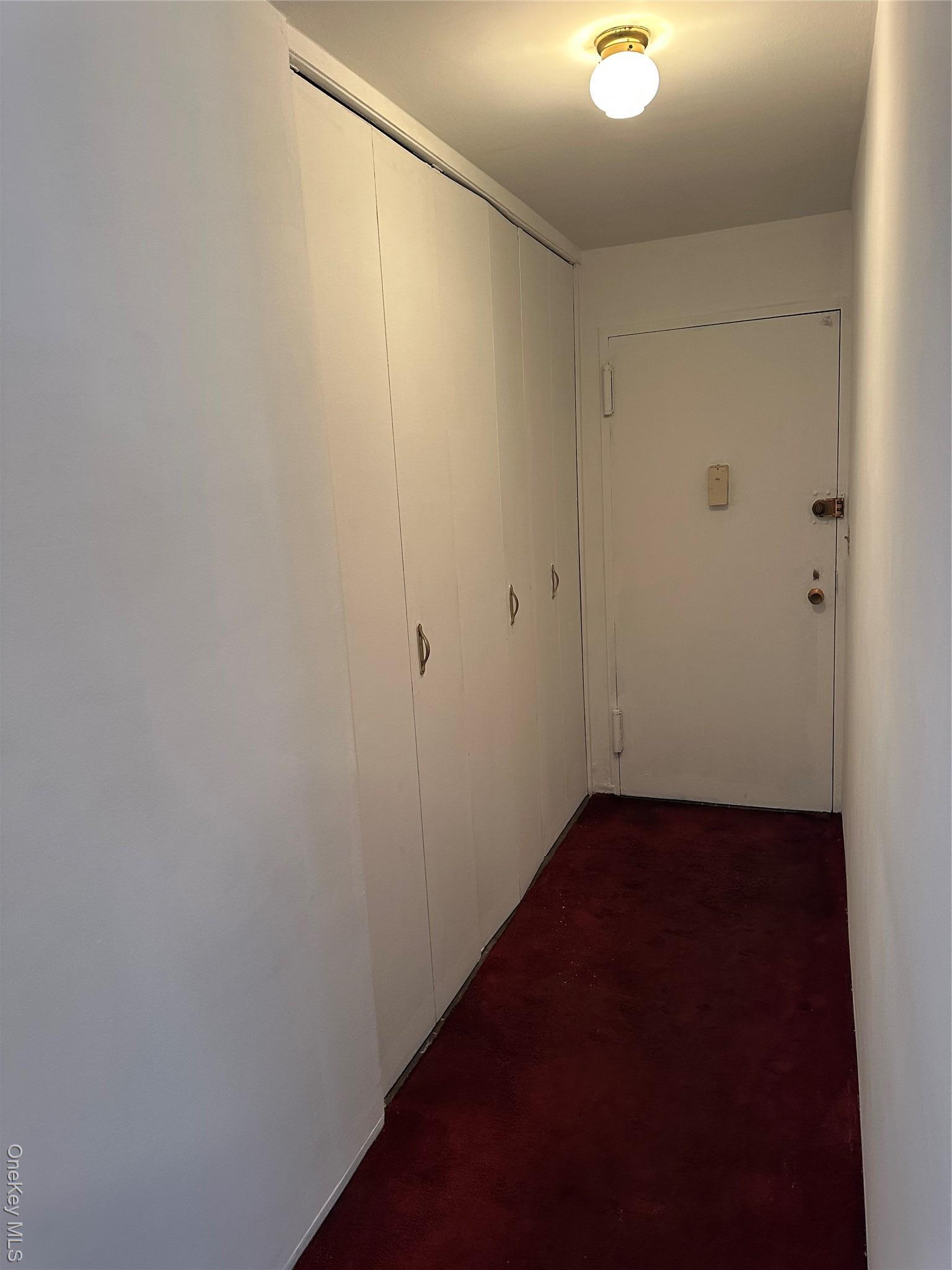 Coop H Brooklyn, NY 11210, MLS-968593-8