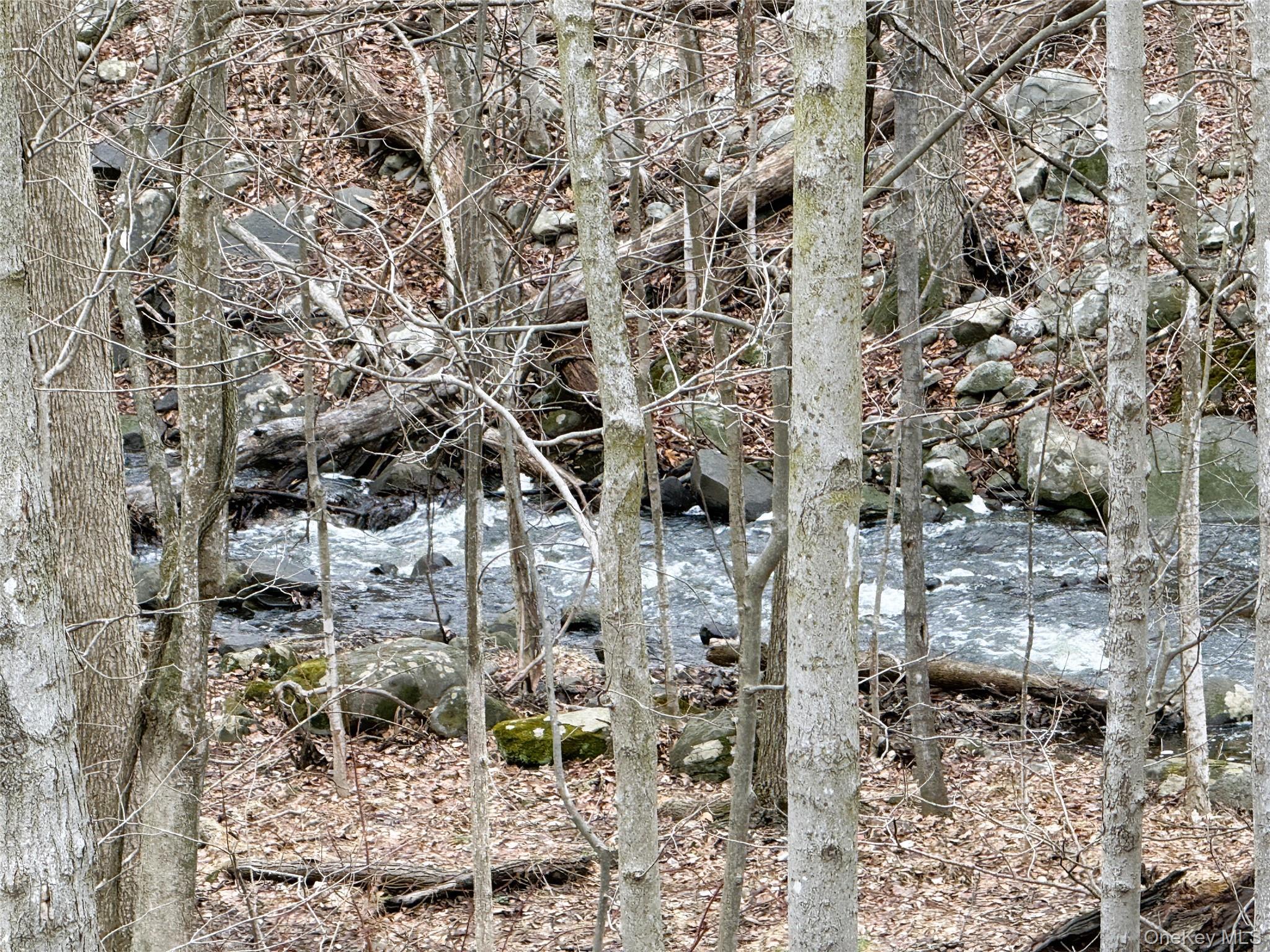 Condo Barnett  Orange County, NY 10950, MLS-968624-26