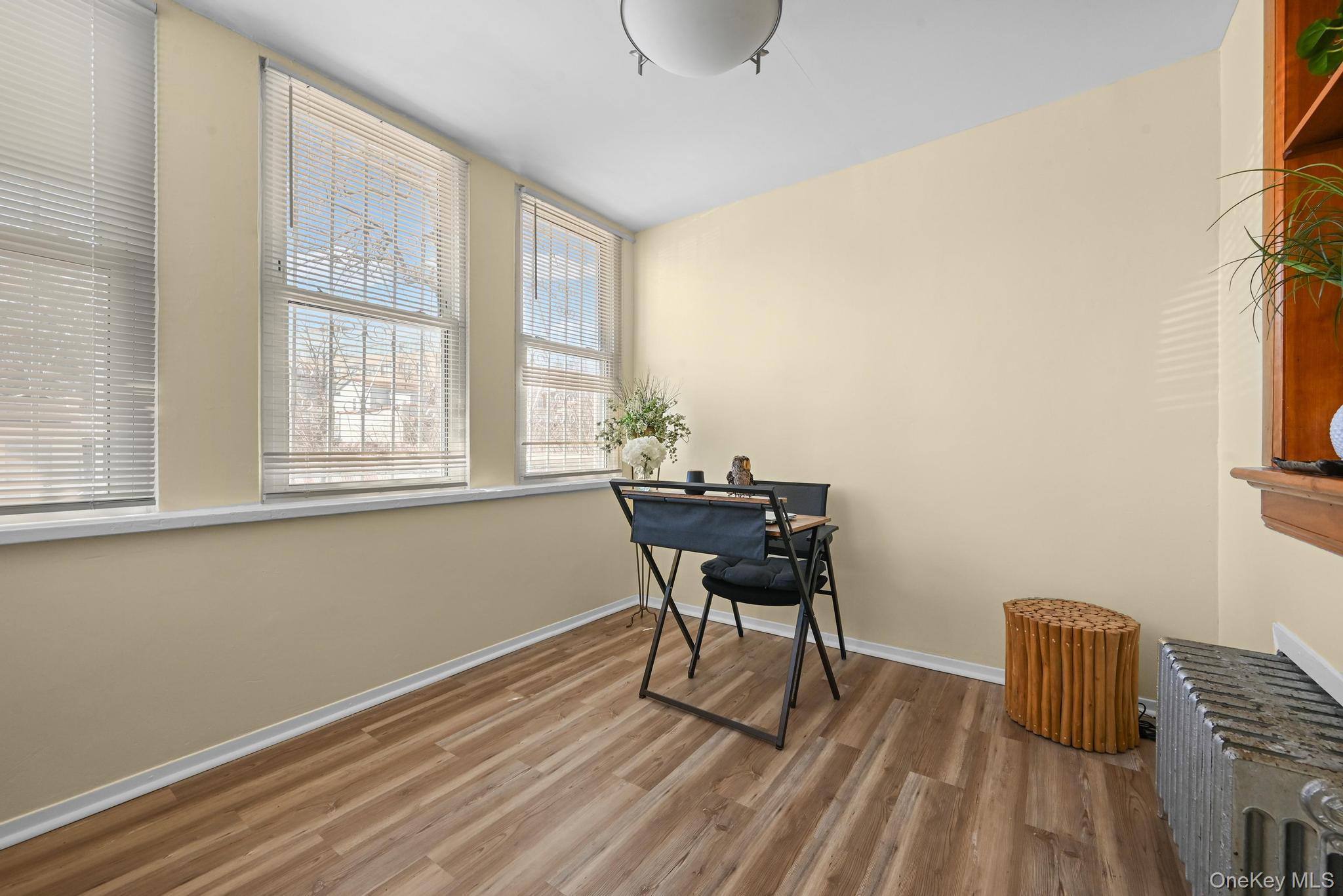 Single Family Chestnut  Brooklyn, NY 11208, MLS-968661-13