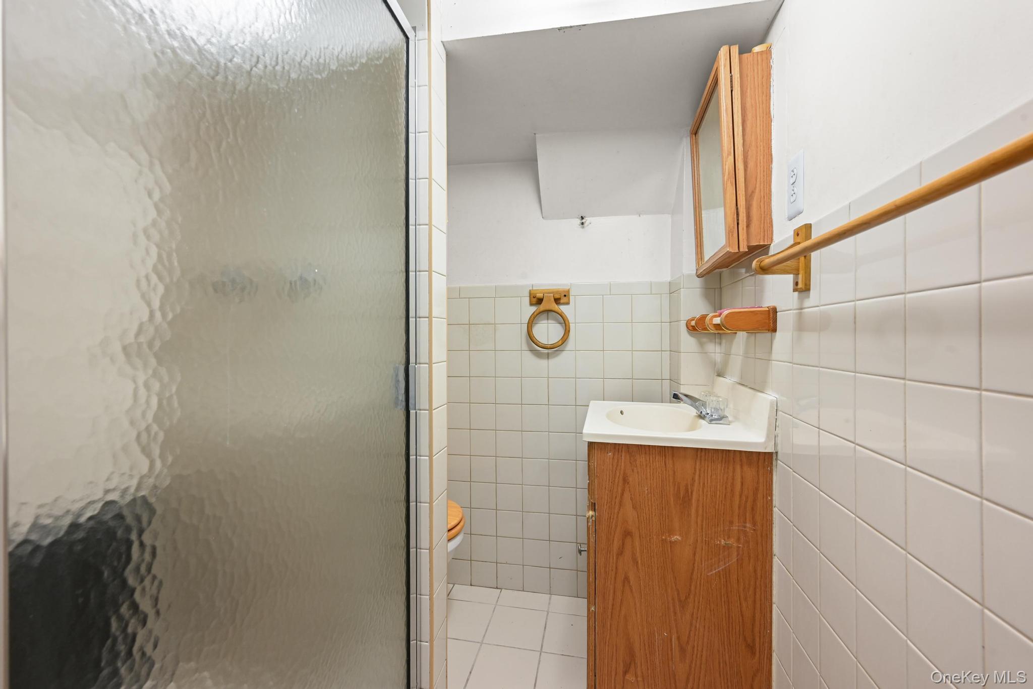 Single Family Chestnut  Brooklyn, NY 11208, MLS-968661-22