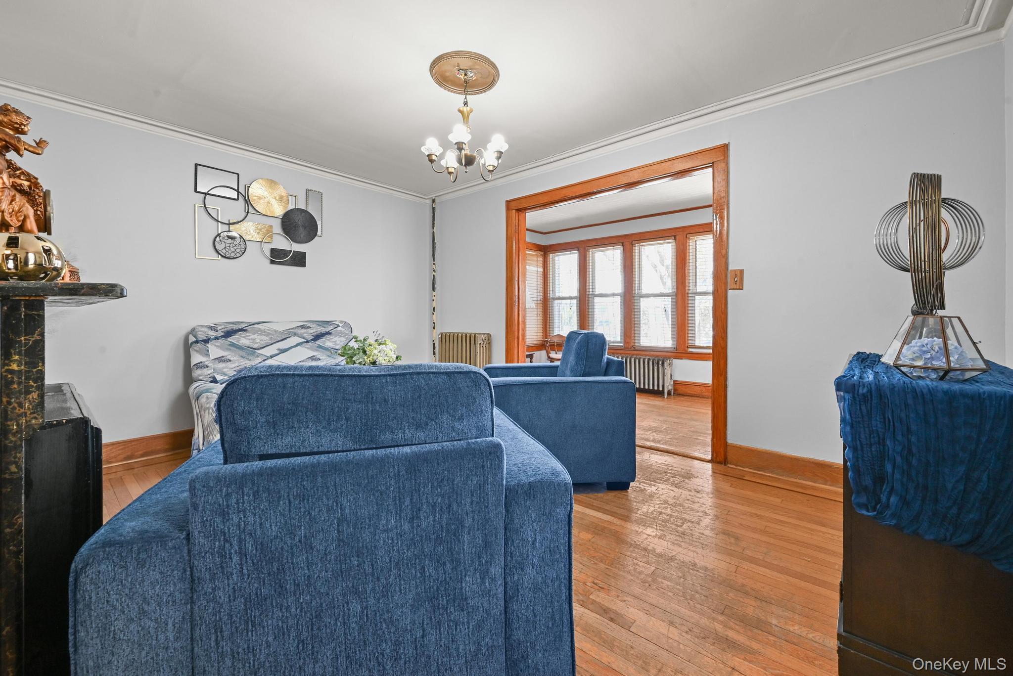 Single Family Chestnut  Brooklyn, NY 11208, MLS-968661-8