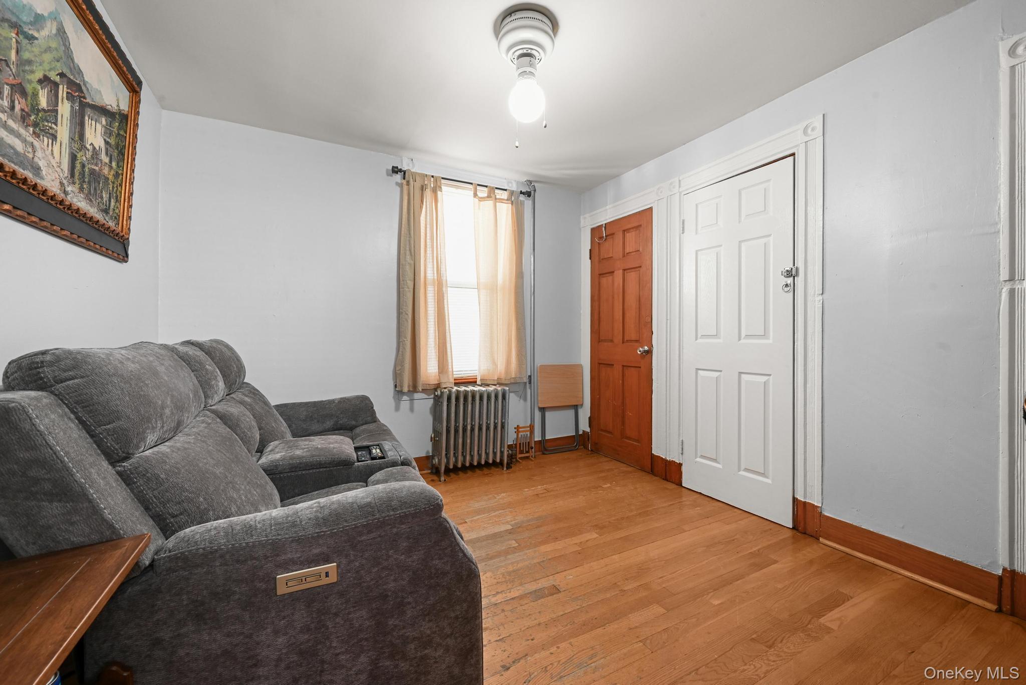 Single Family Chestnut  Brooklyn, NY 11208, MLS-968661-9