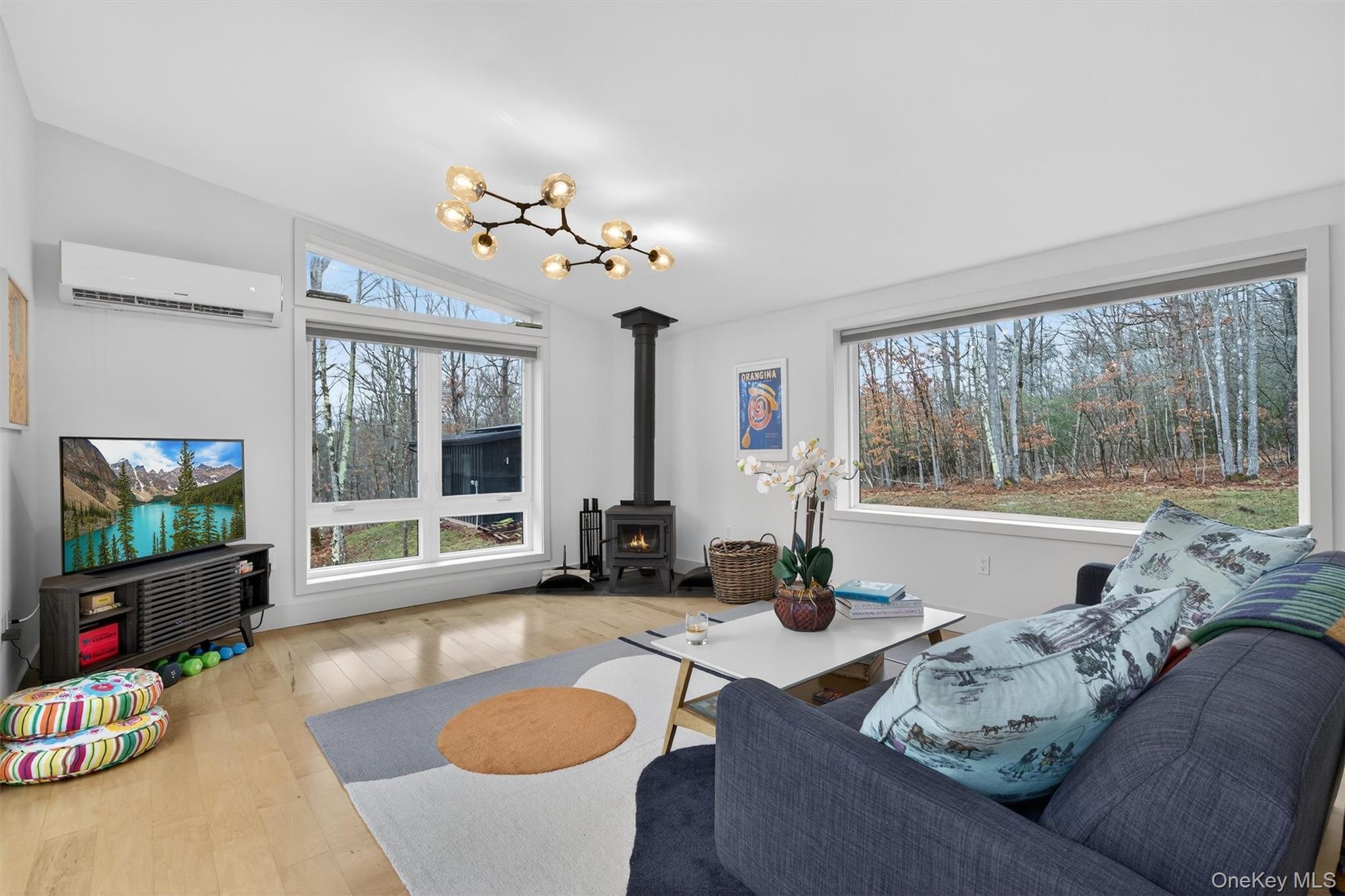 Single Family Lenni Lenape  Sullivan County, NY 12764, MLS-968663-13