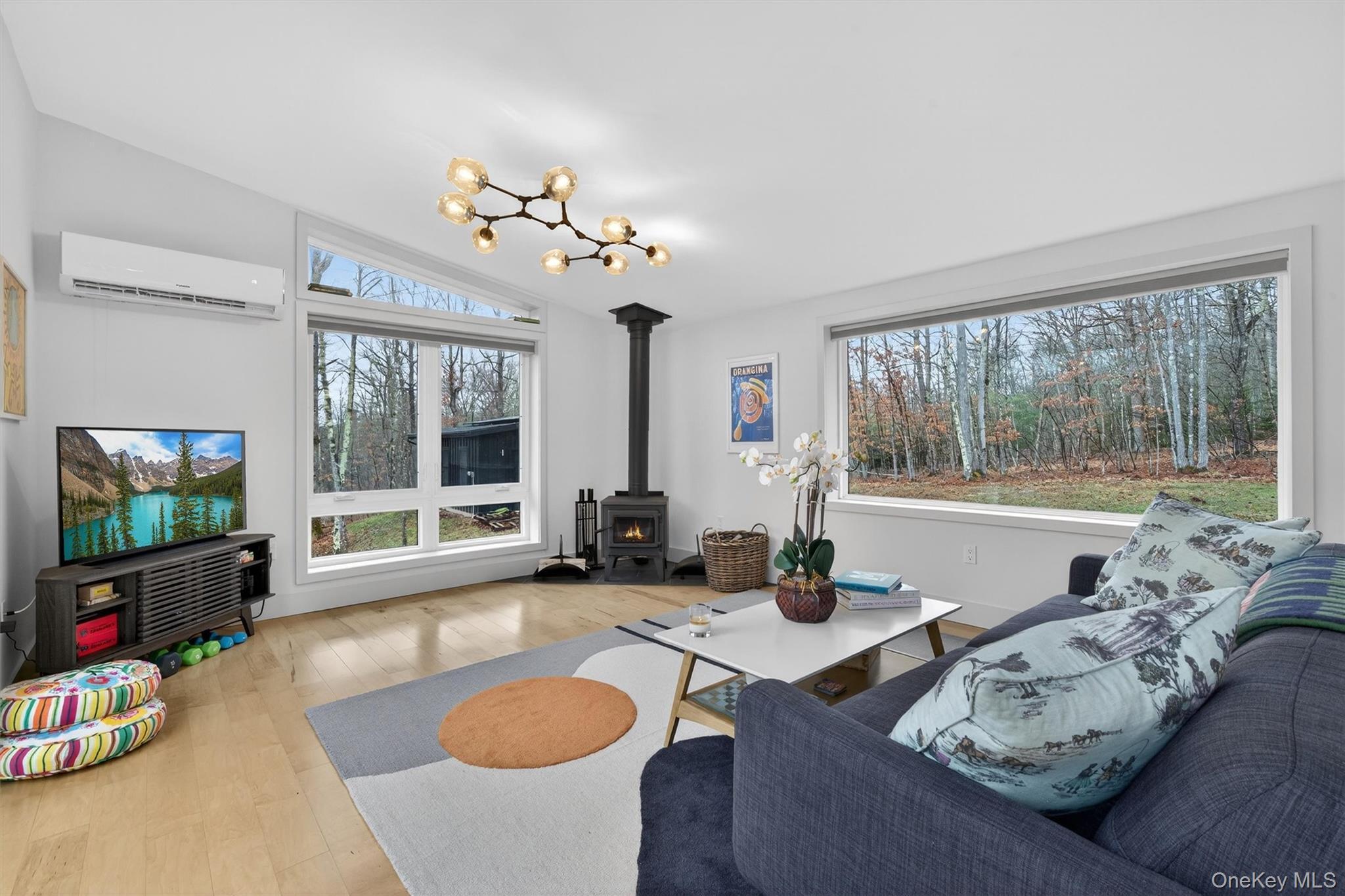 Single Family Lenni Lenape  Sullivan County, NY 12764, MLS-968663-17