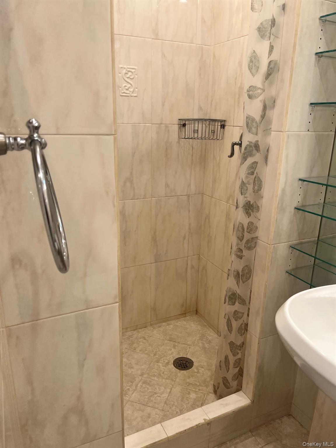 Single Family Maurice Queens, NY 11377, MLS-968676-19