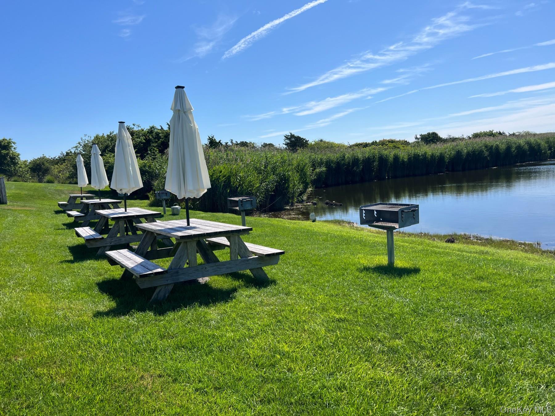 Coop Bluff Suffolk County, NY 11930, MLS-968679-26