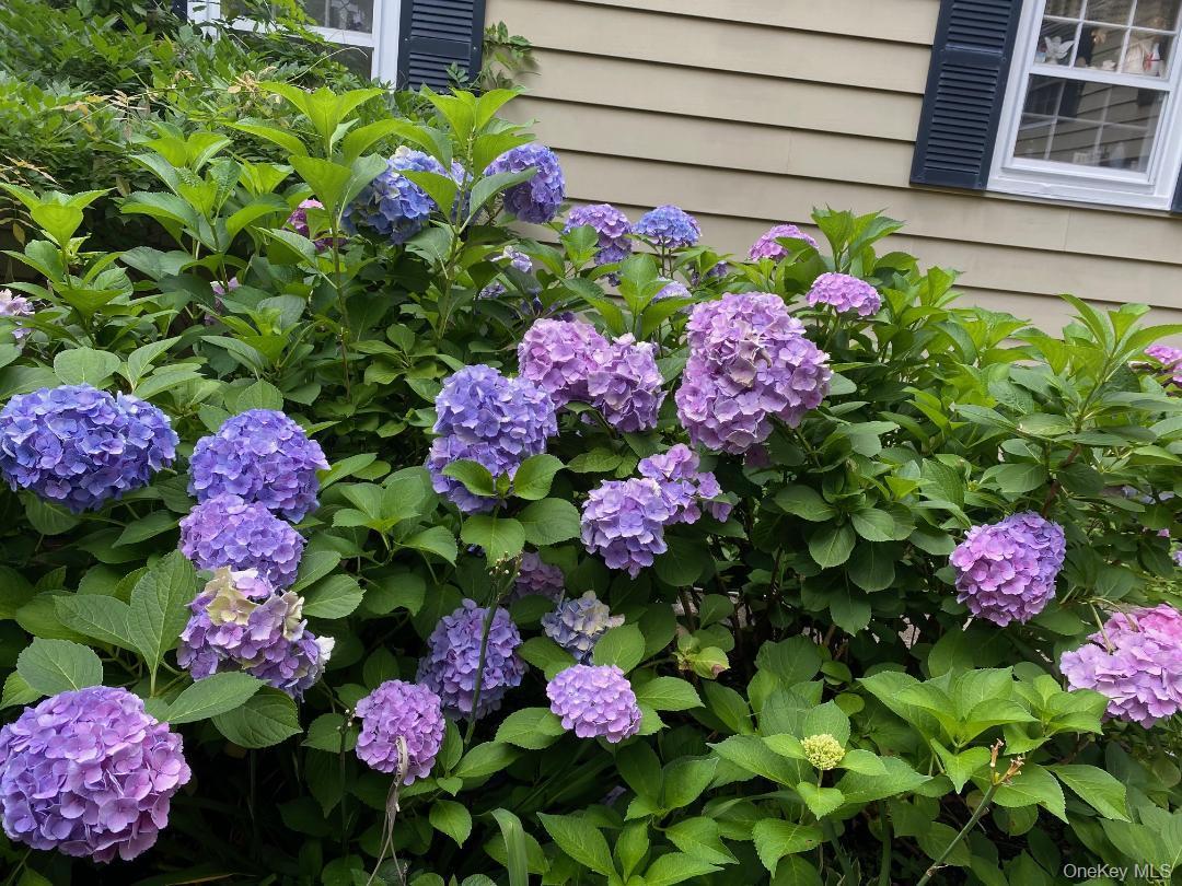 Single Family Brook  Rockland County, NY 10901, MLS-968720-27