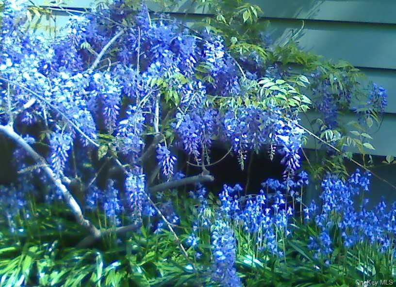 Single Family Brook  Rockland County, NY 10901, MLS-968720-29