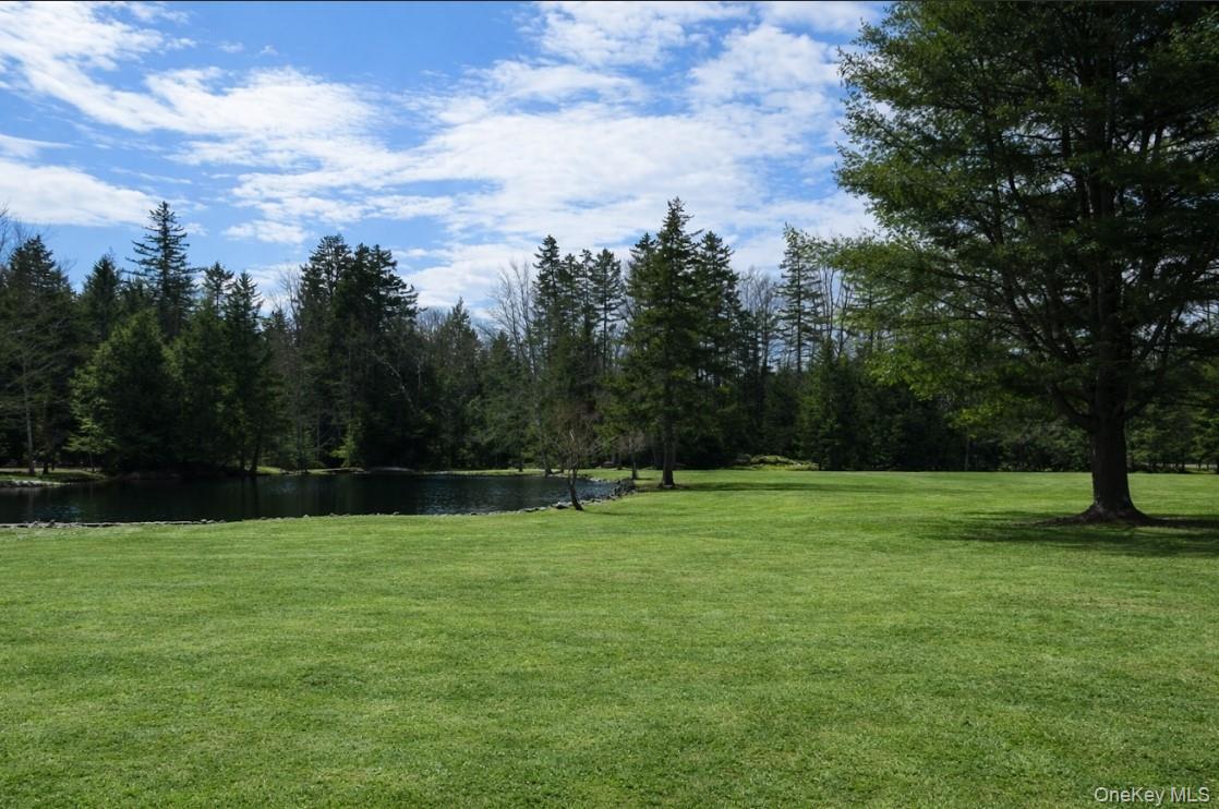 Single Family Cooley  Sullivan County, NY 12768, MLS-968804-4