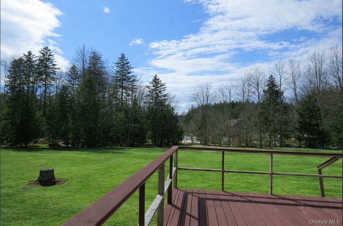 Single Family Cooley  Sullivan County, NY 12768, MLS-968804-5